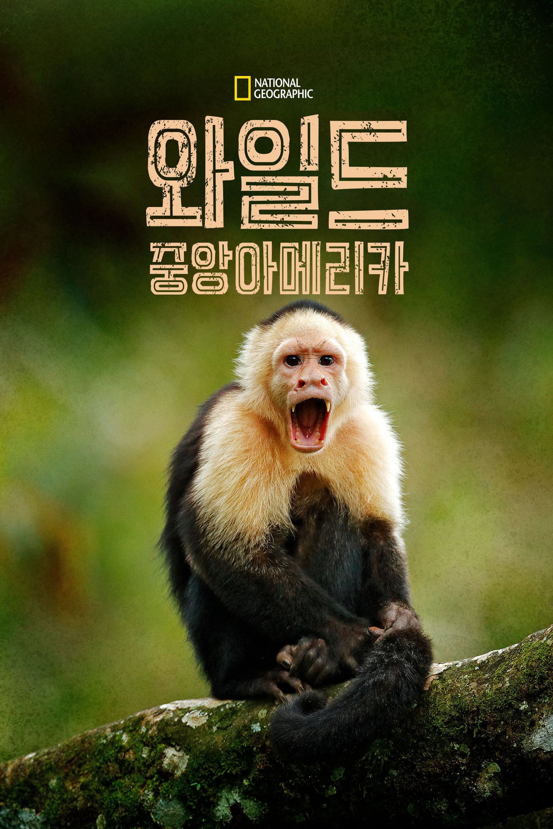 와일드 중앙아메리카