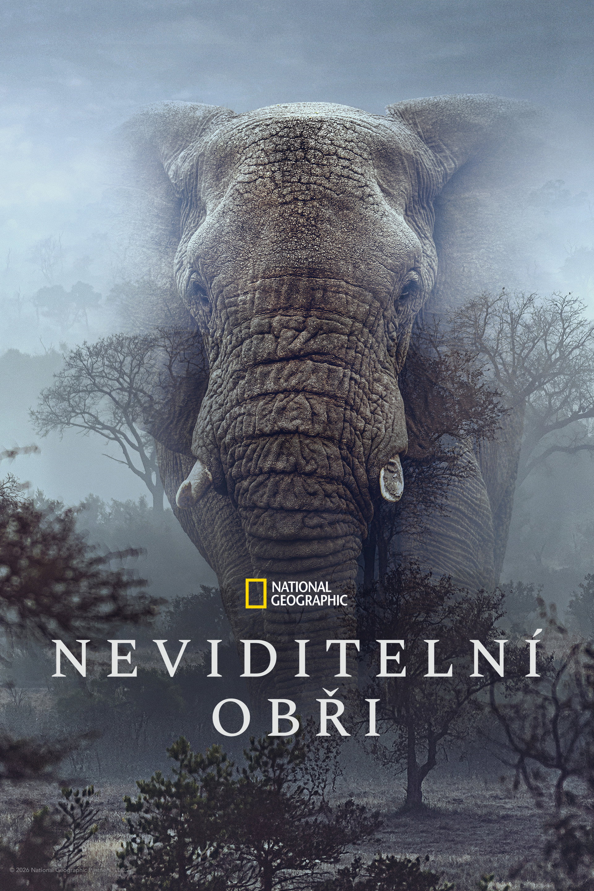Neviditelní obři