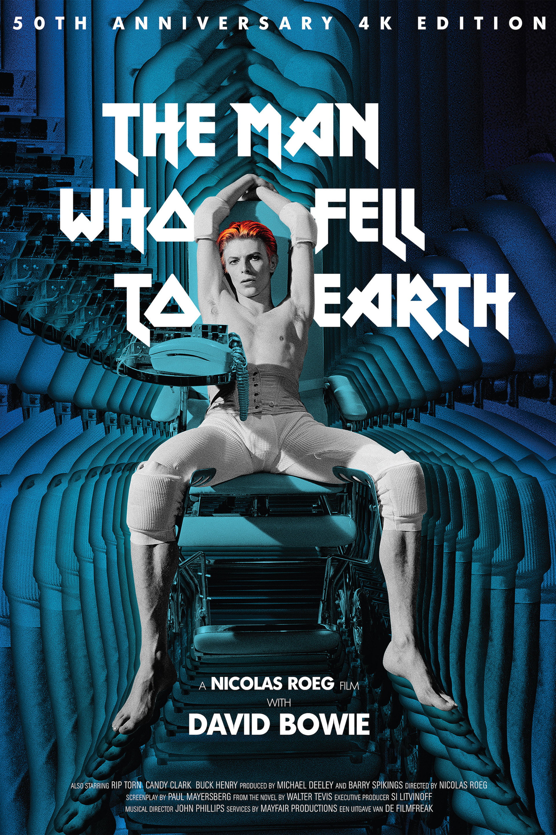 The Man Who Fell to Earth