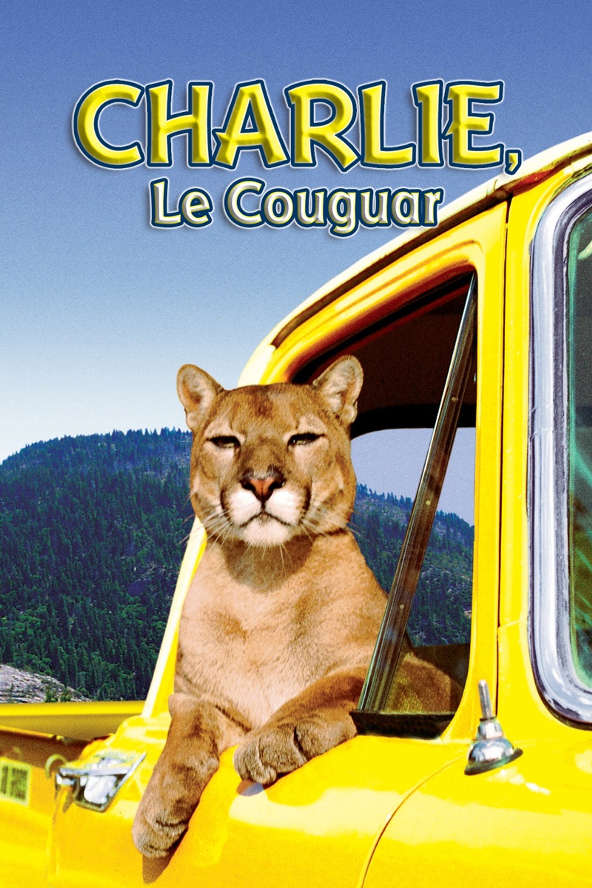 Charlie, le couguar
