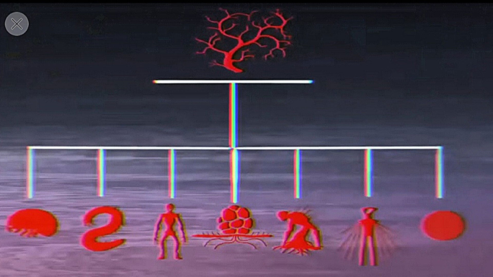 Vita Carnis - Living Meat Documentary