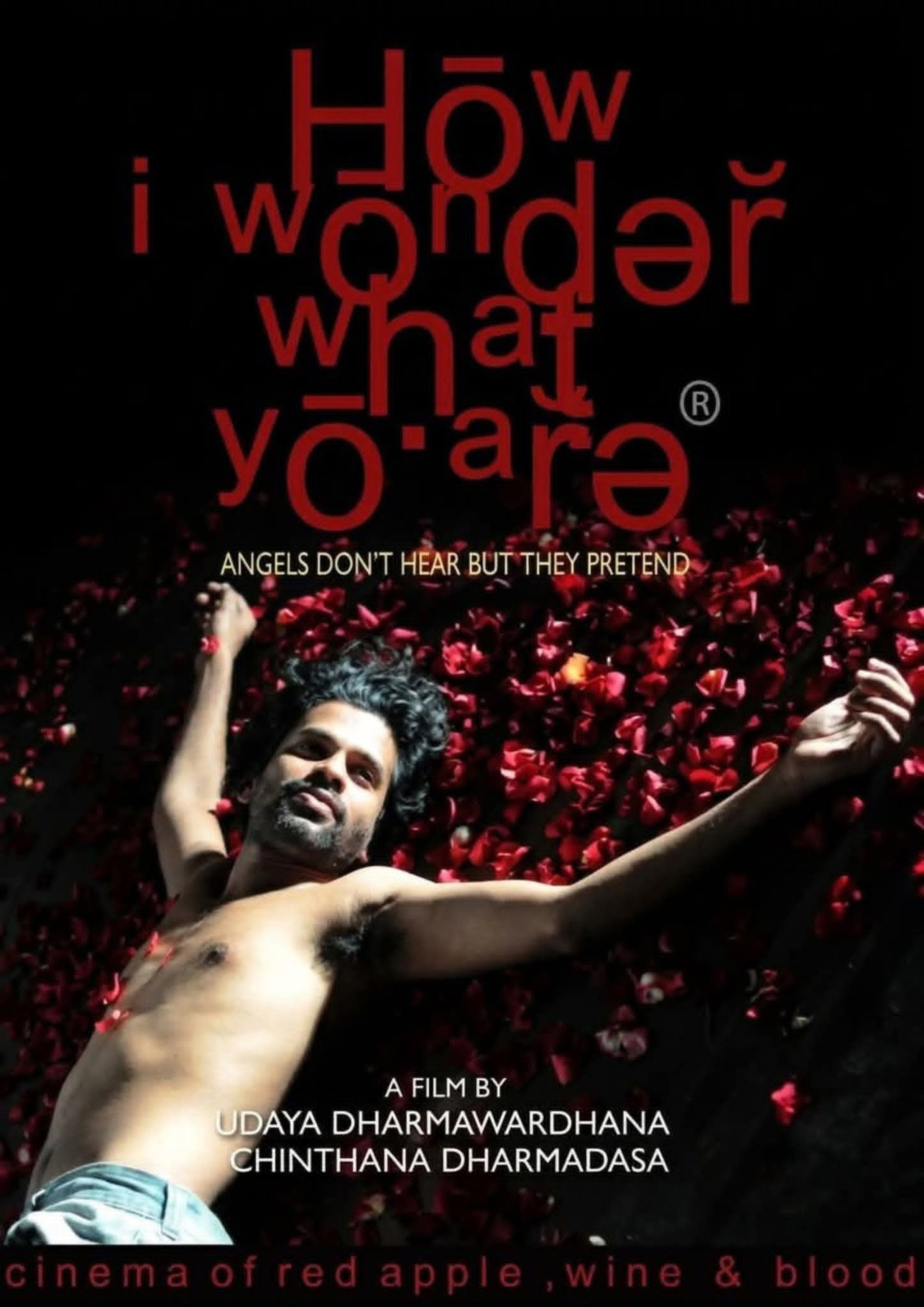 How I Wonder What You Are
