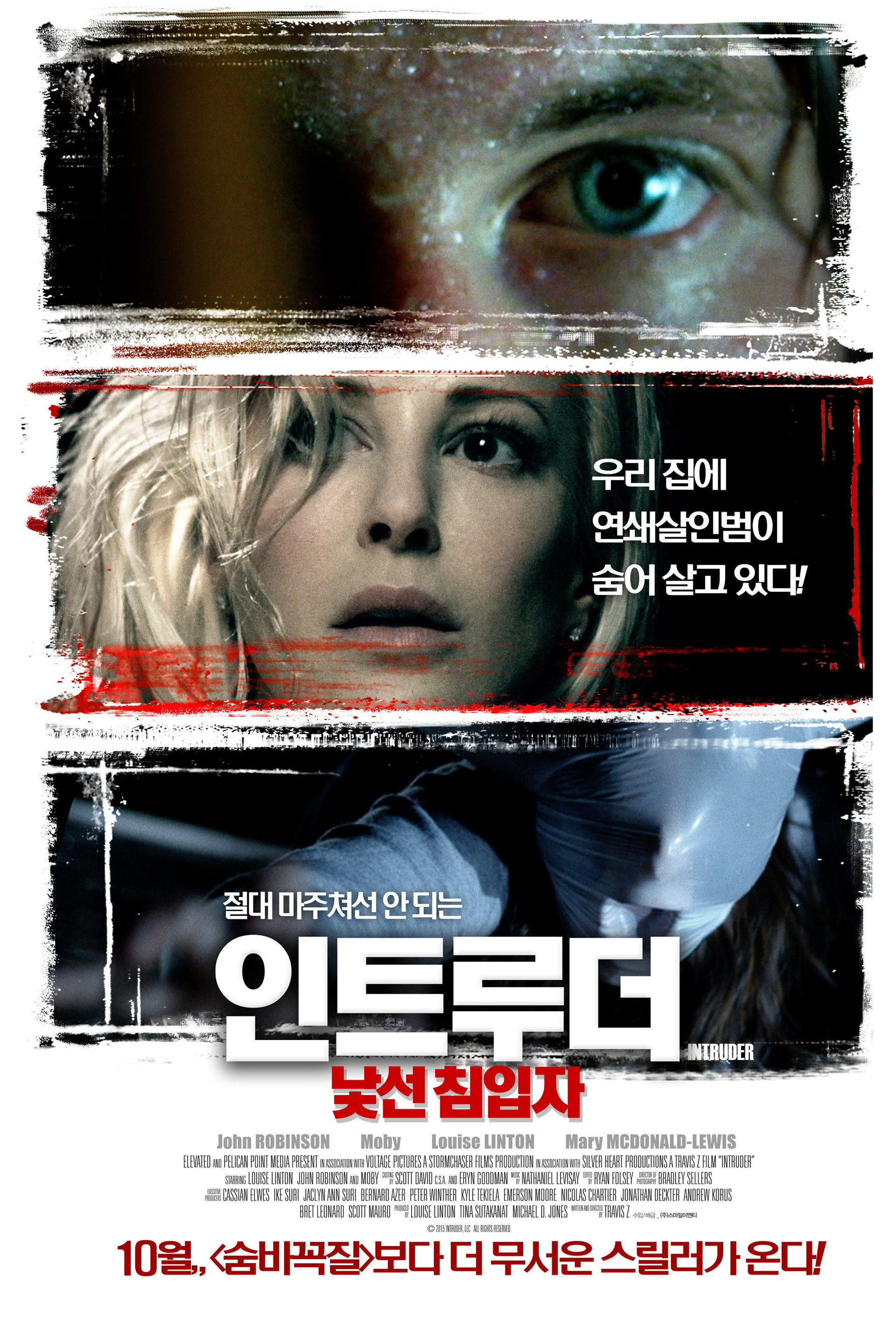 인트루더: 낯선 침입자
