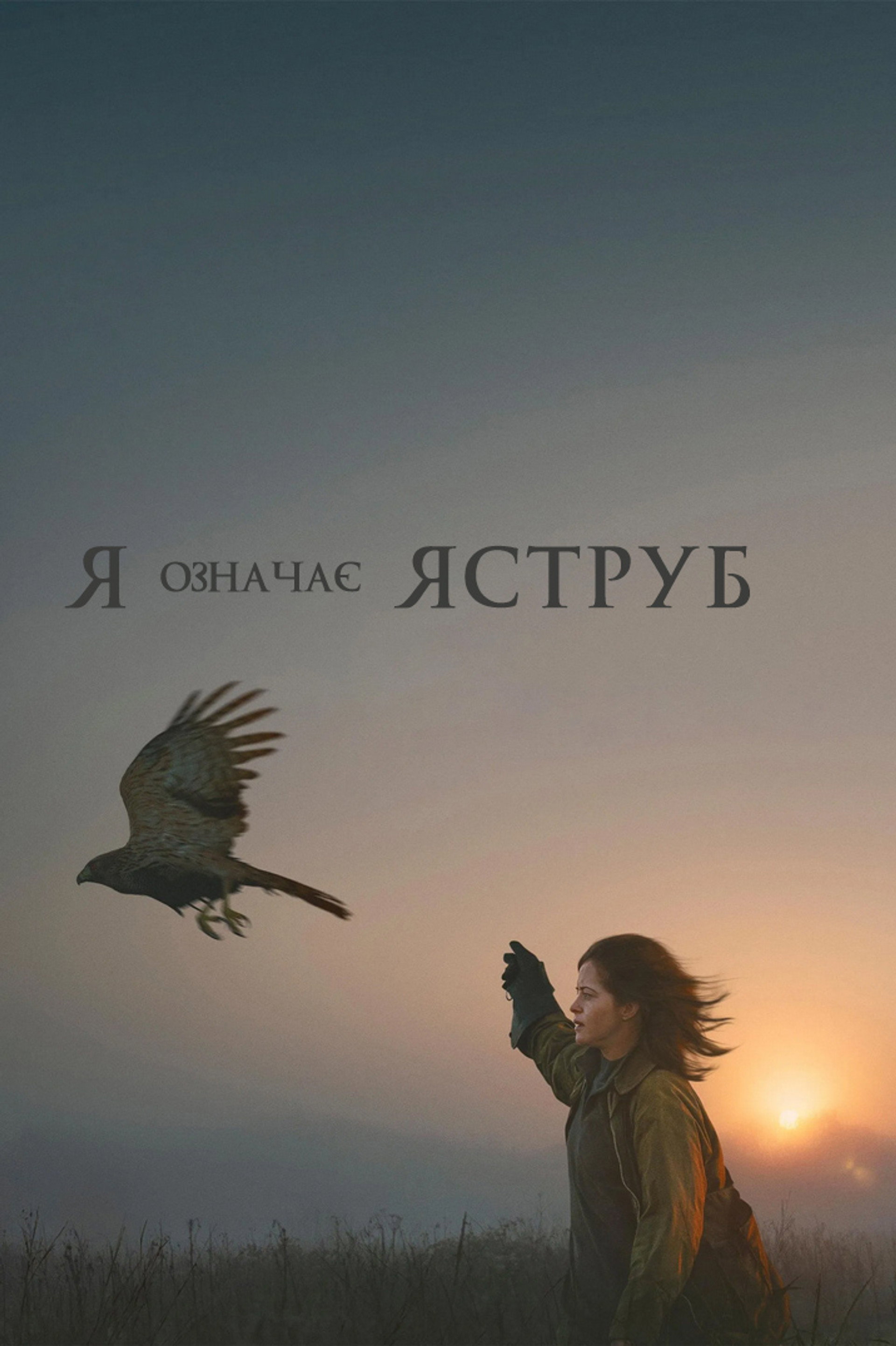 «Я» означає Яструб