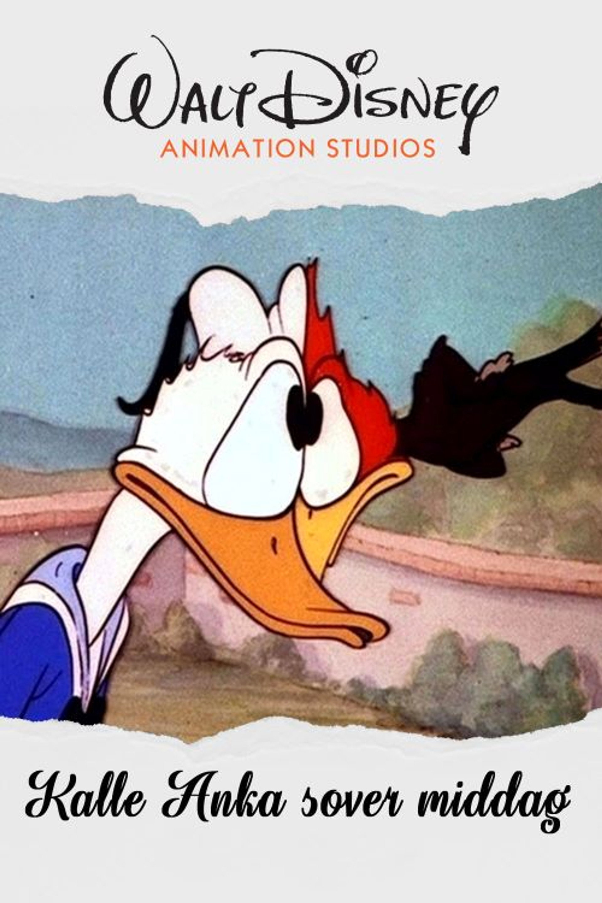 Kalle Anka sover middag