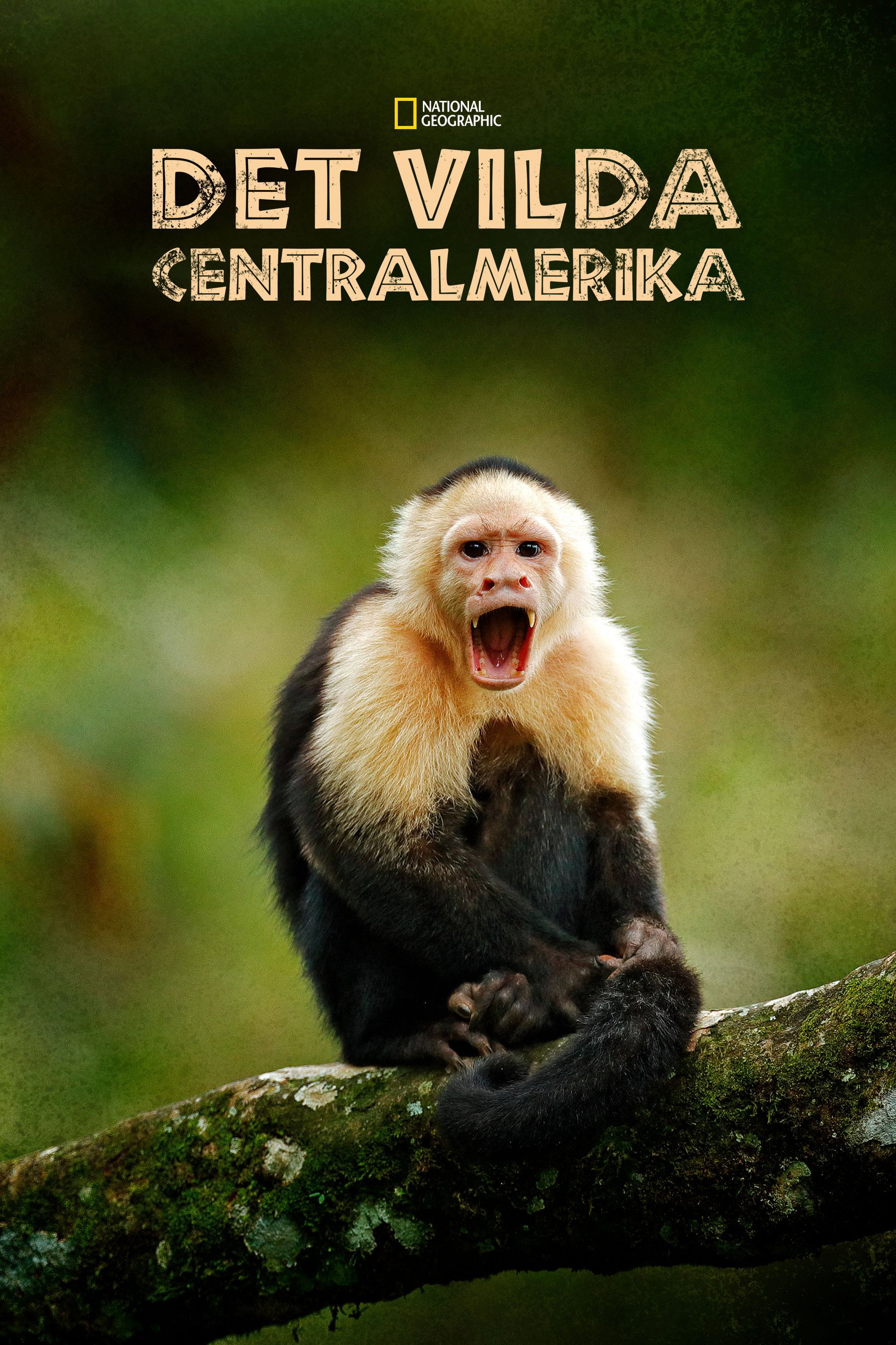 Det vilda Centralamerika