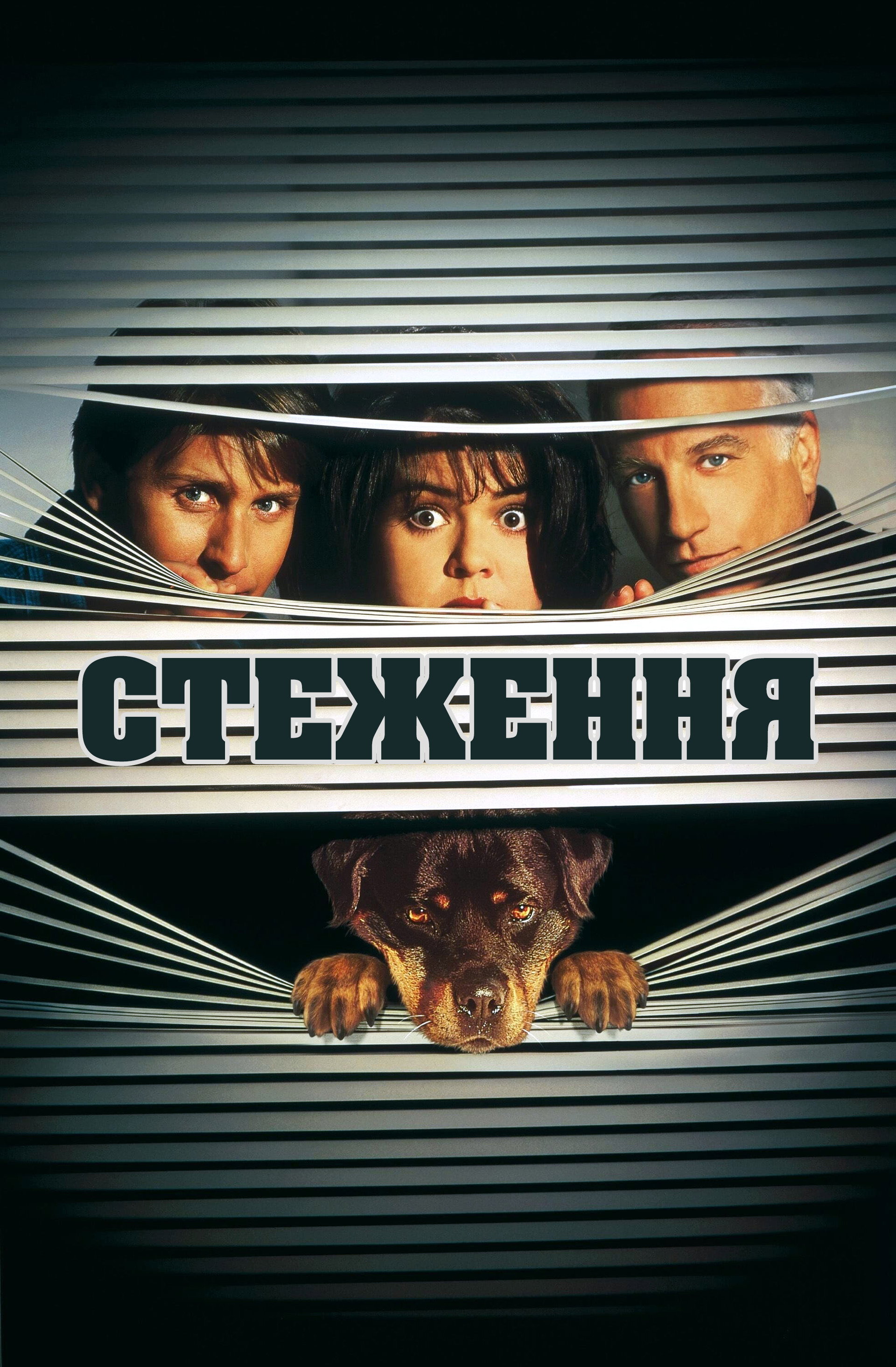 Стеження 2