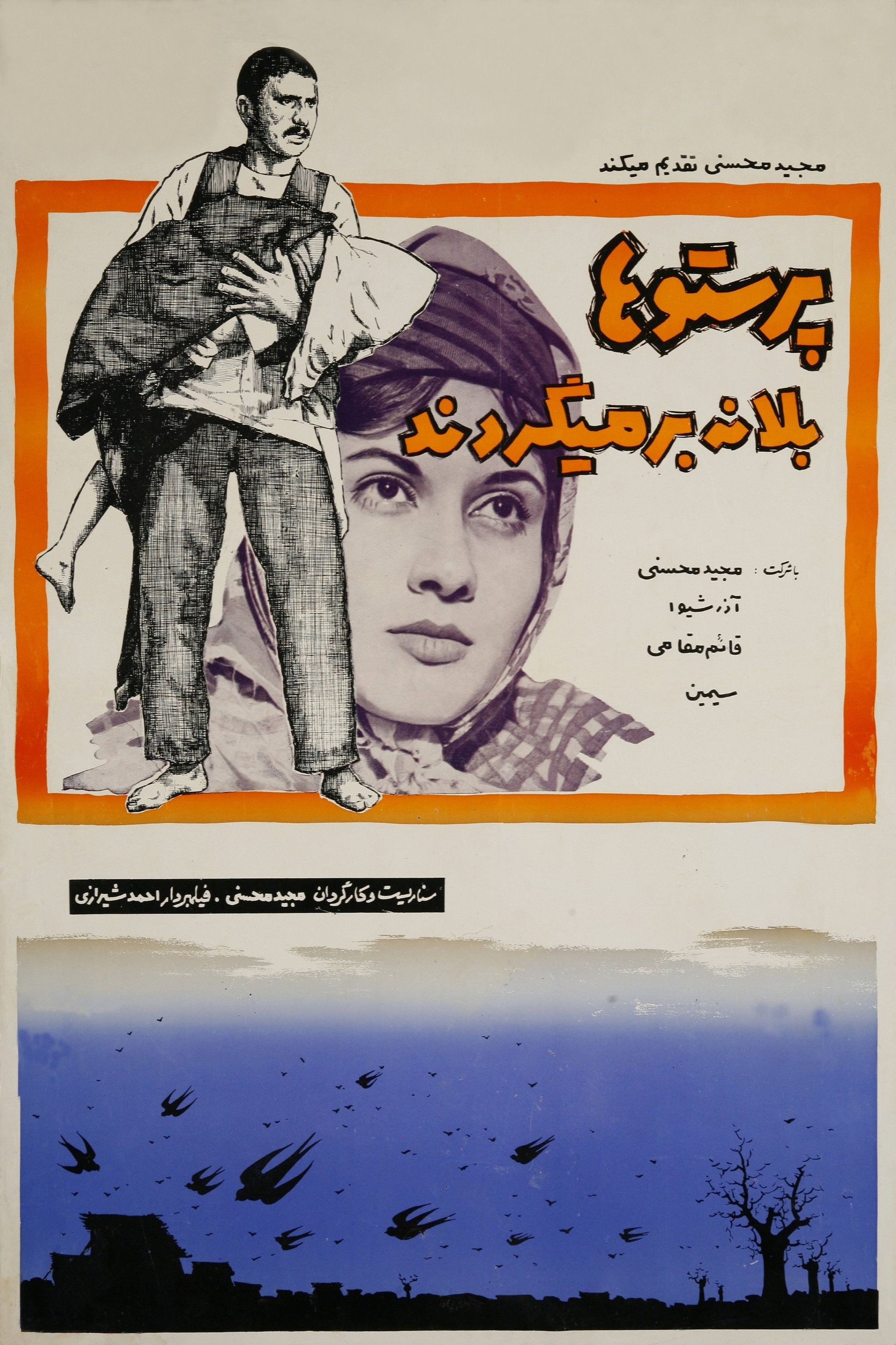 پرستوها به لانه برمی‌گردند