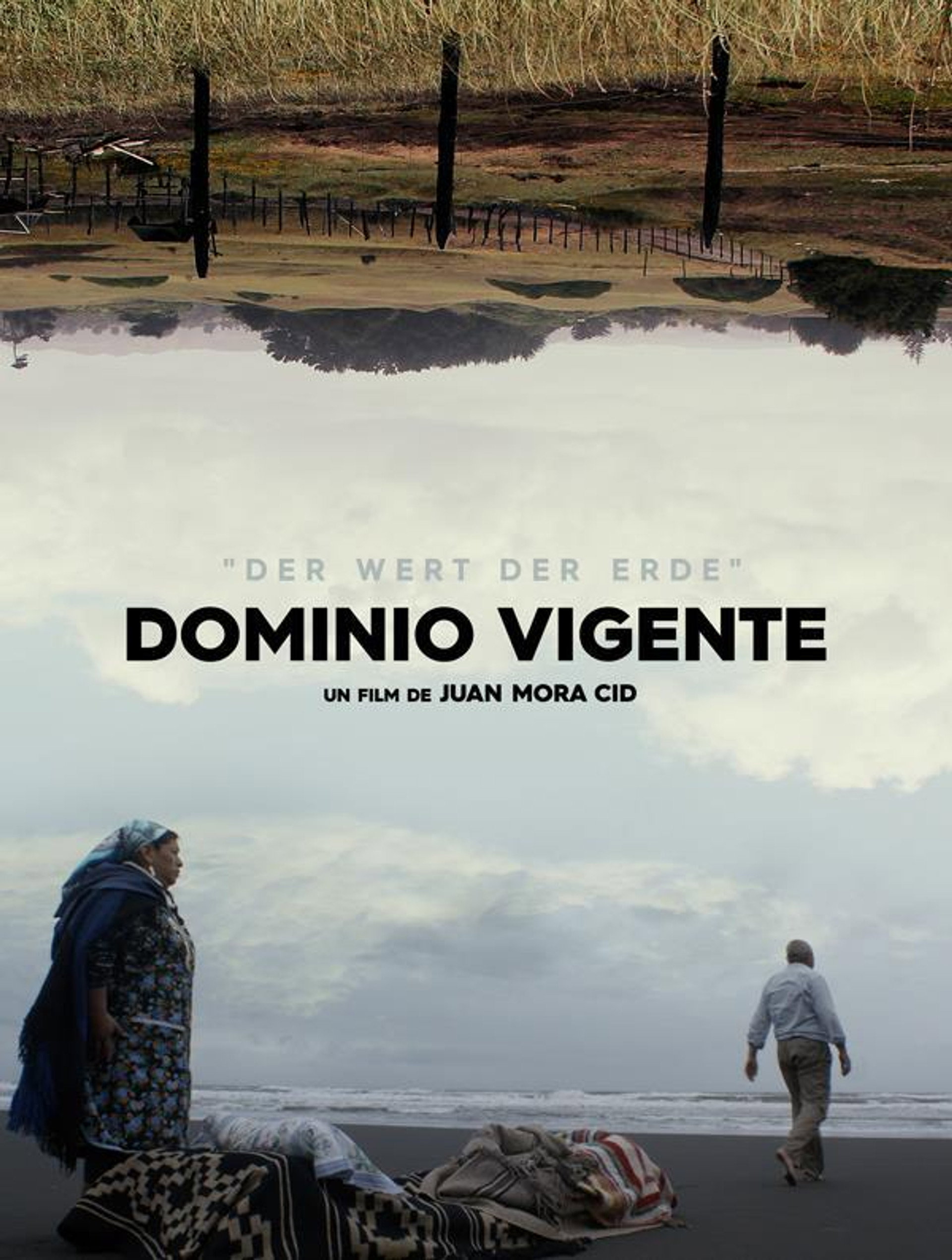 Dominio Vigente