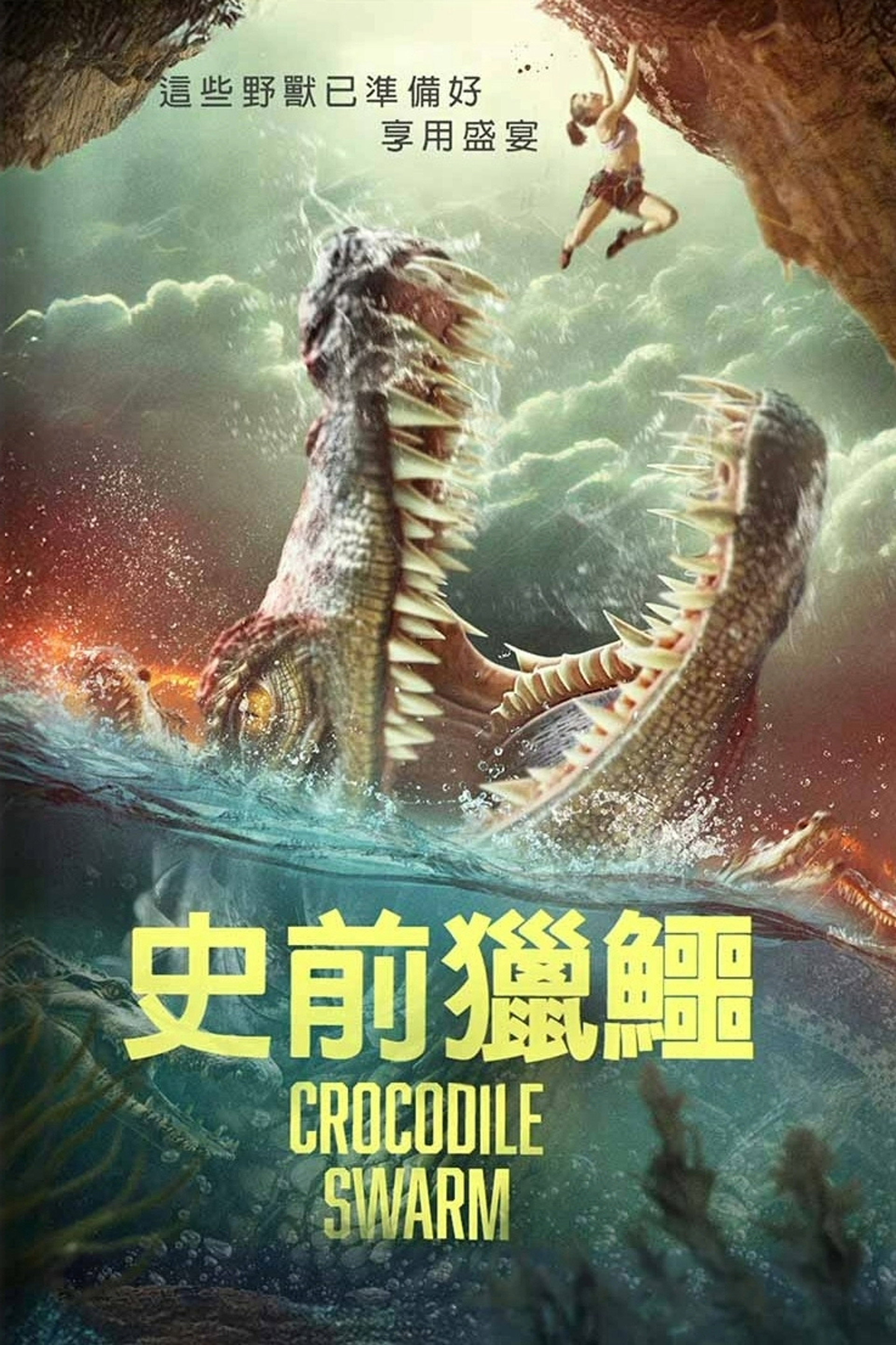 鳄鱼群