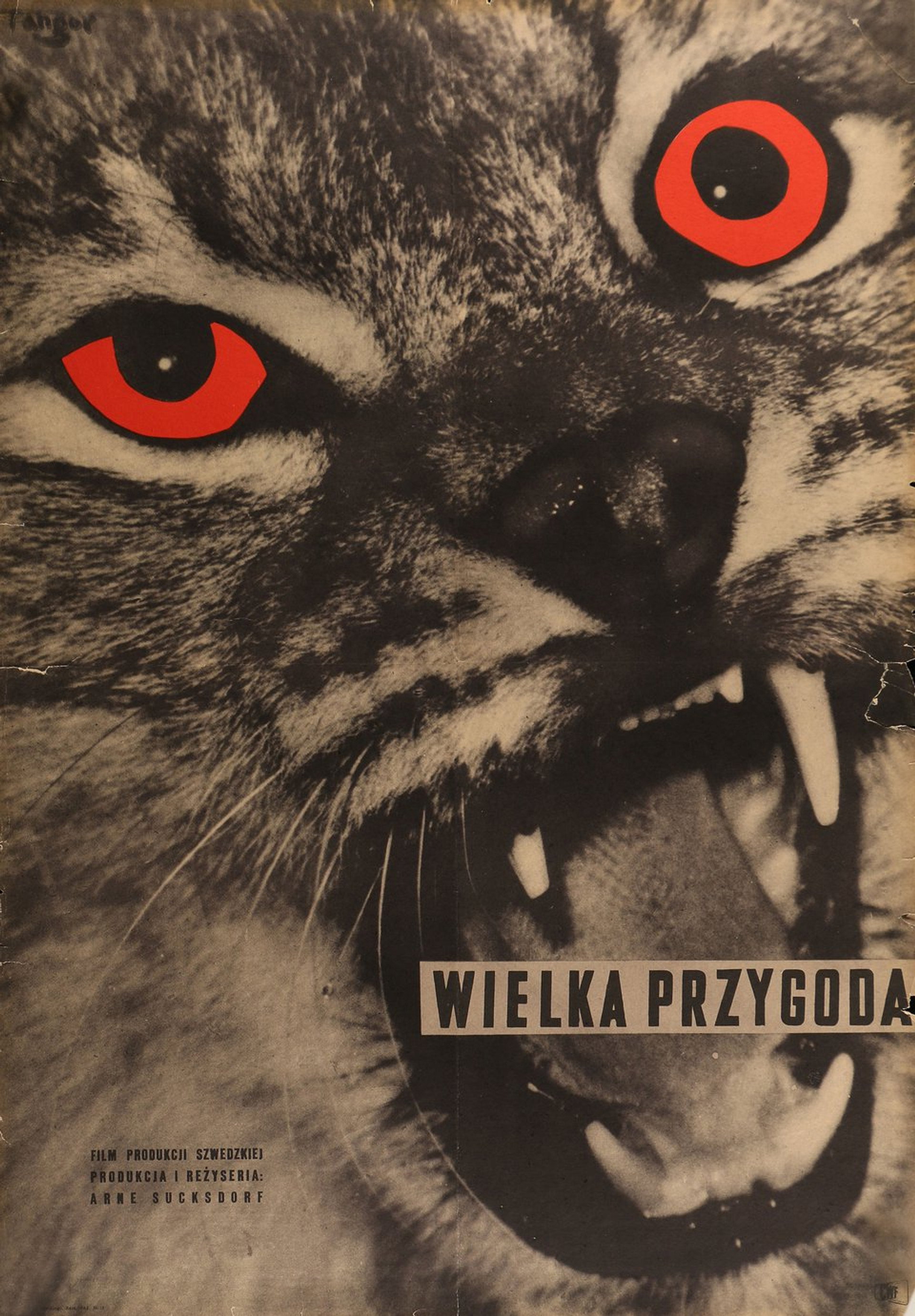 Wielka przygoda