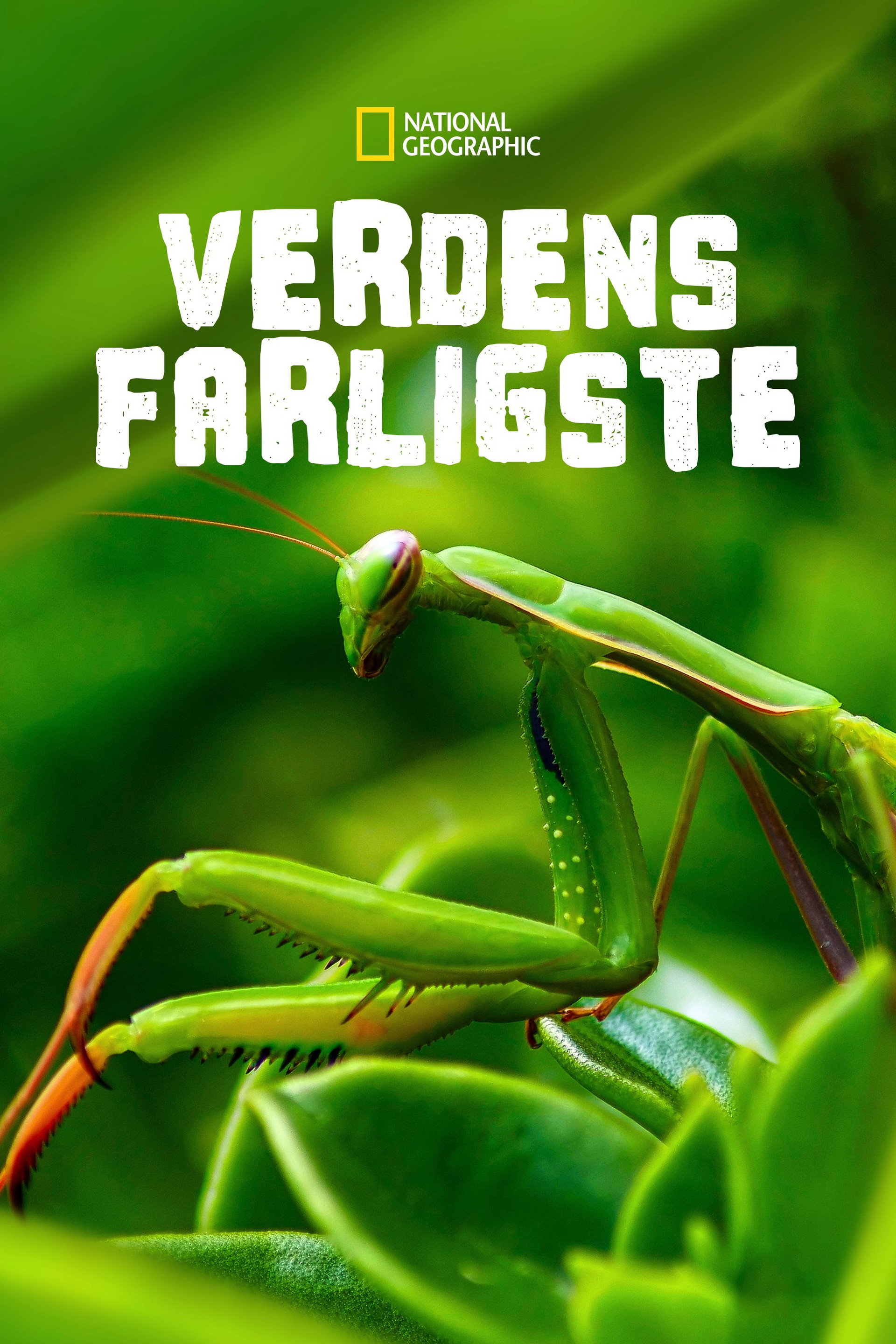 Verdens mest farlige dræbere
