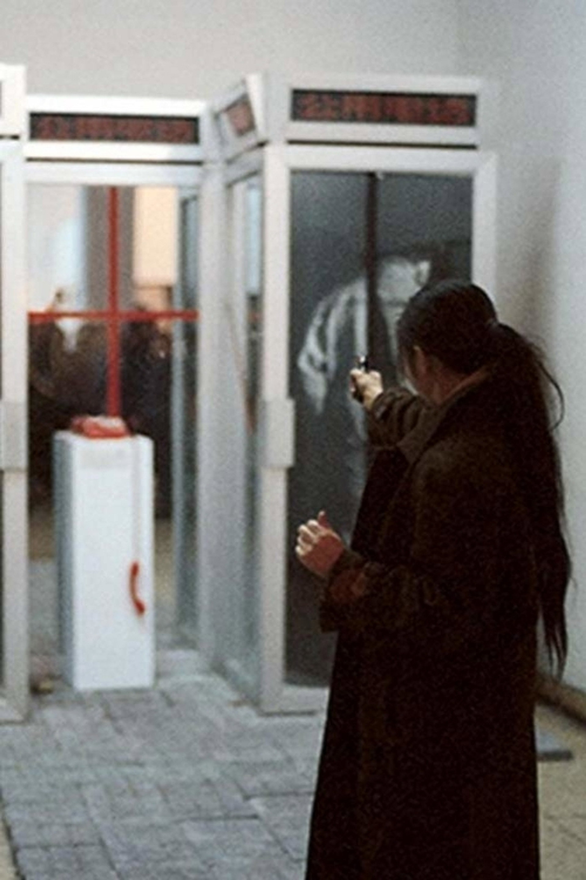 七宗罪——中国现代艺术展上的七个行为艺术