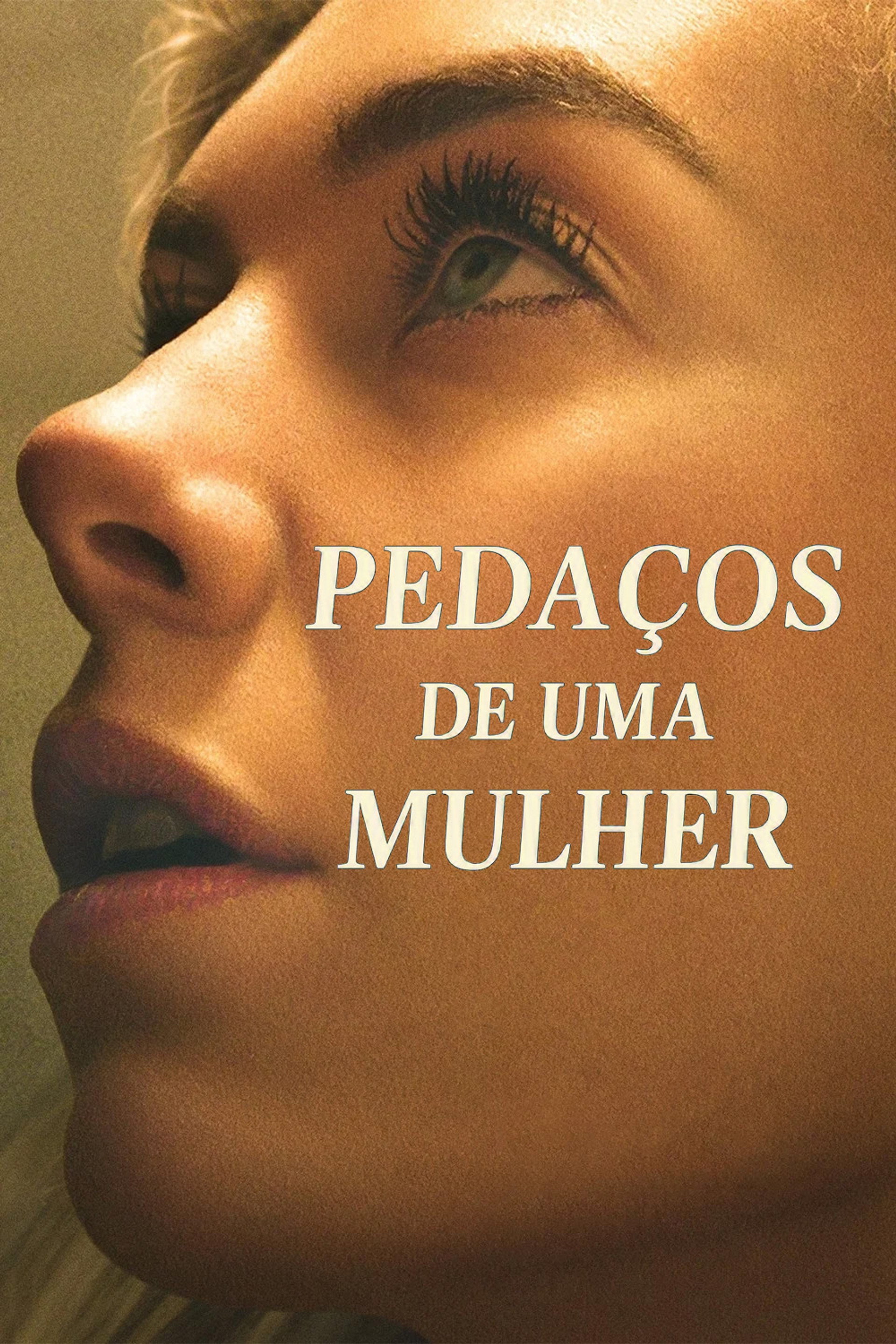 Pedaços de uma Mulher
