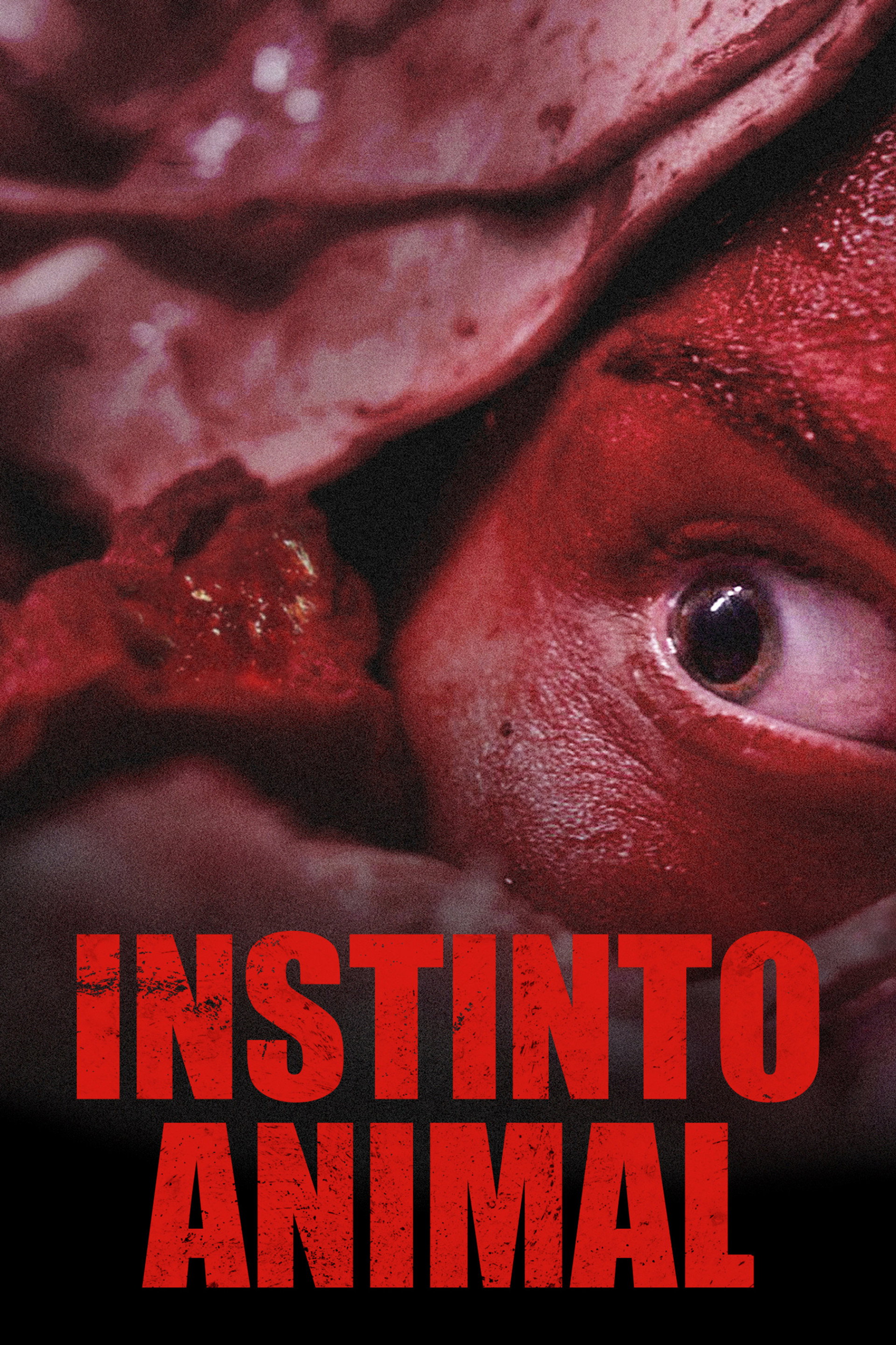 Instinto animal