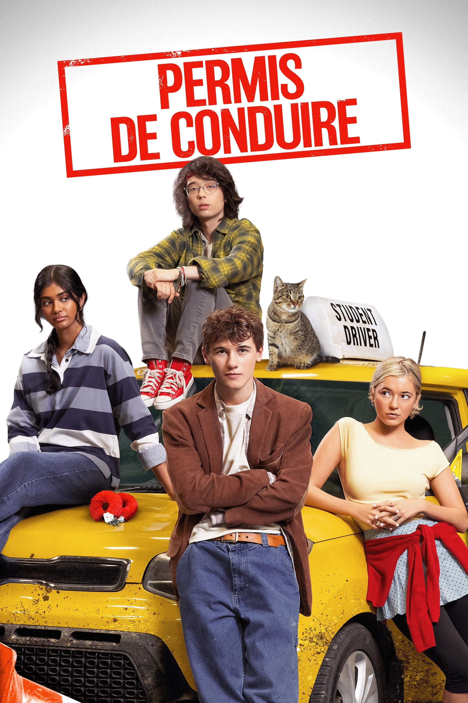 Permis de Conduire