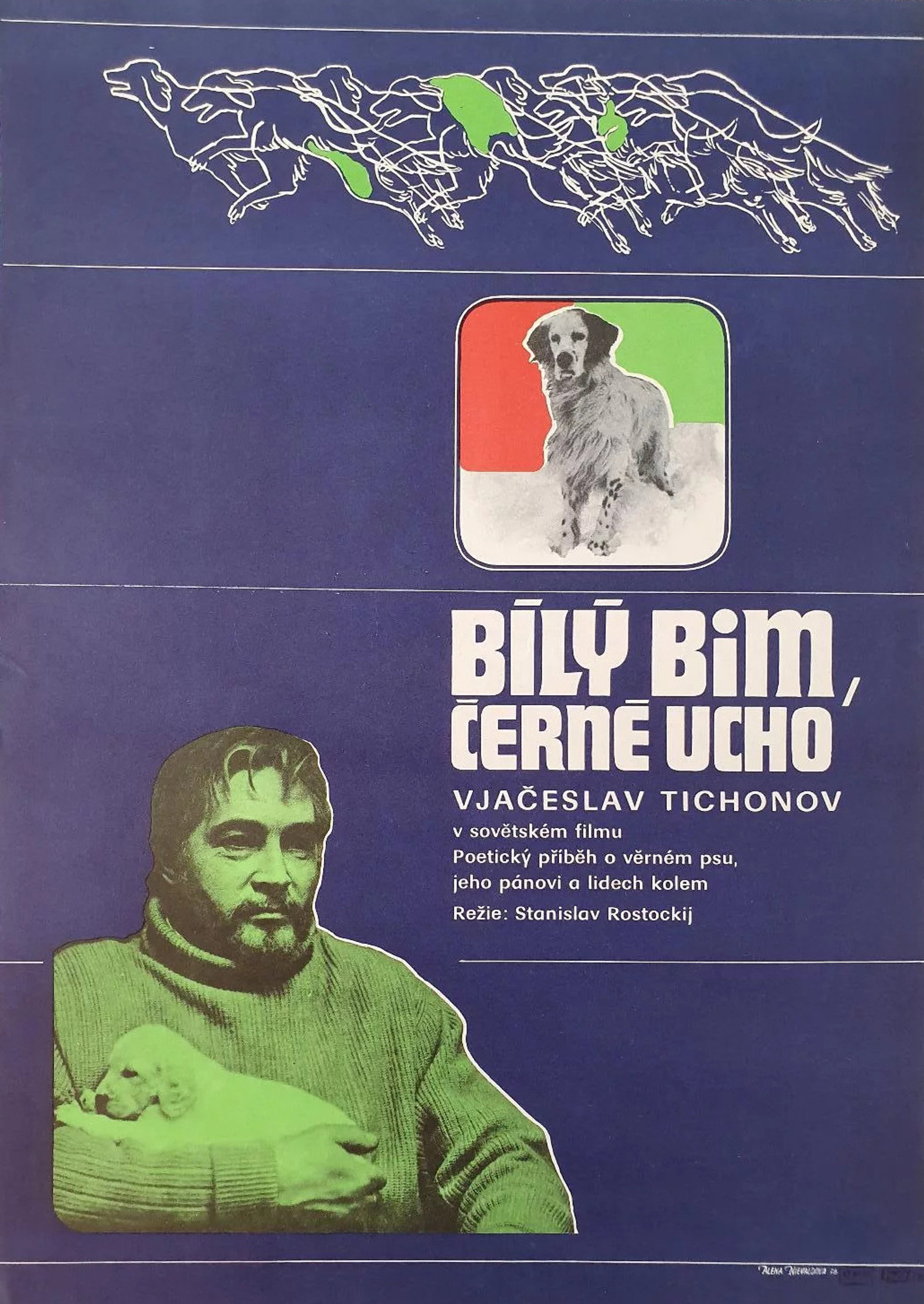 Bílý Bim, Černé Ucho