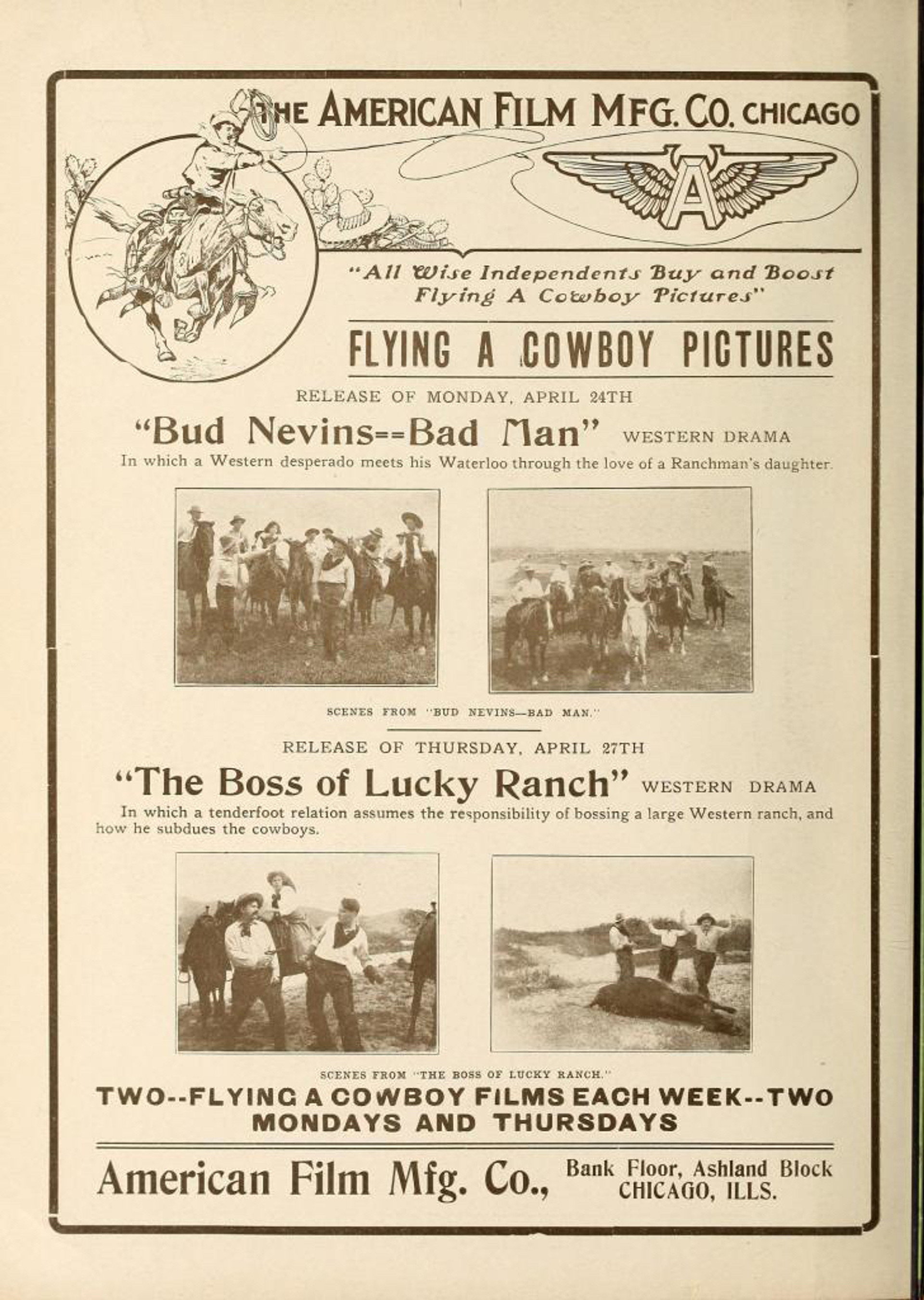 The Boss of Lucky Ranch