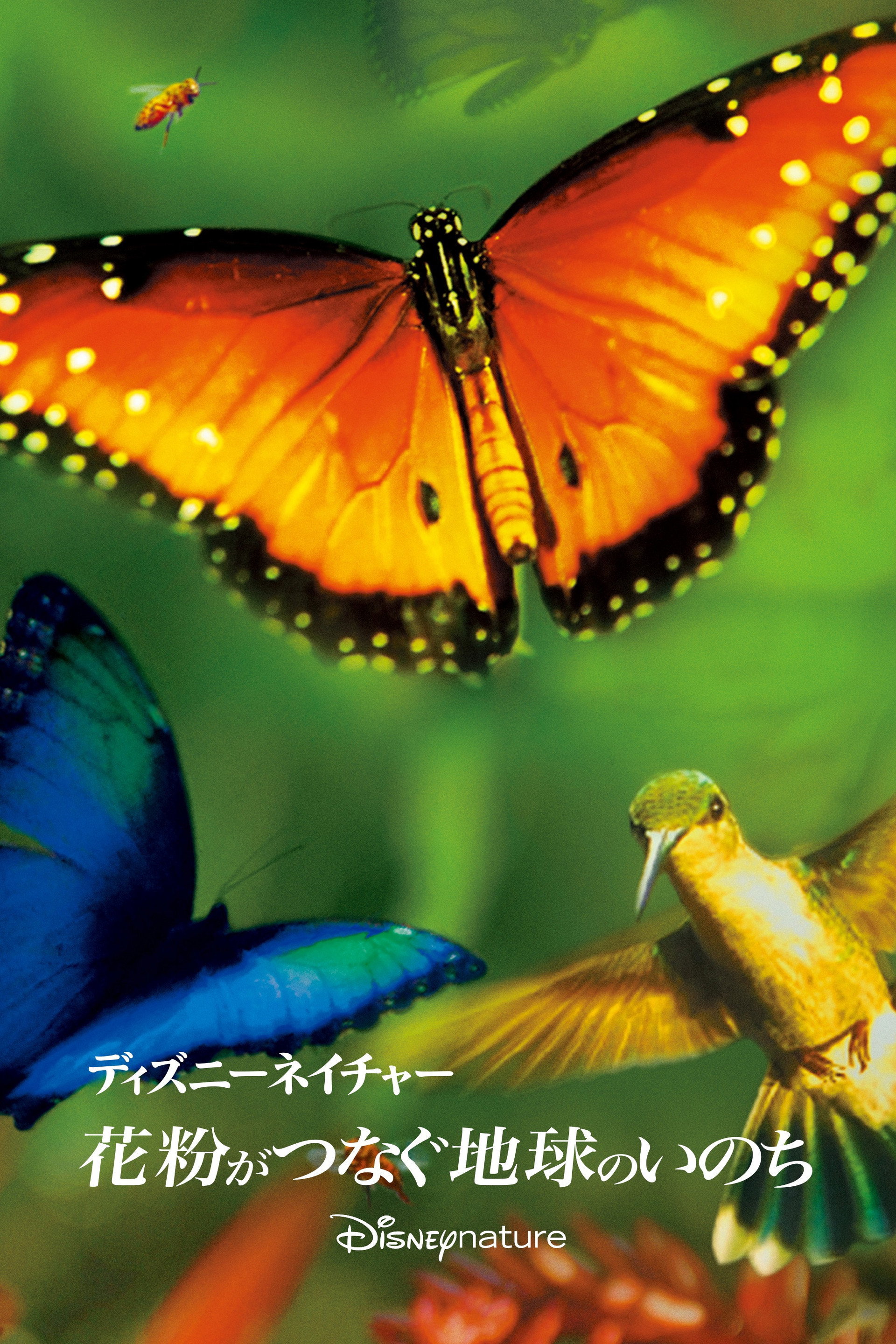 花粉がつなぐ地球のいのち