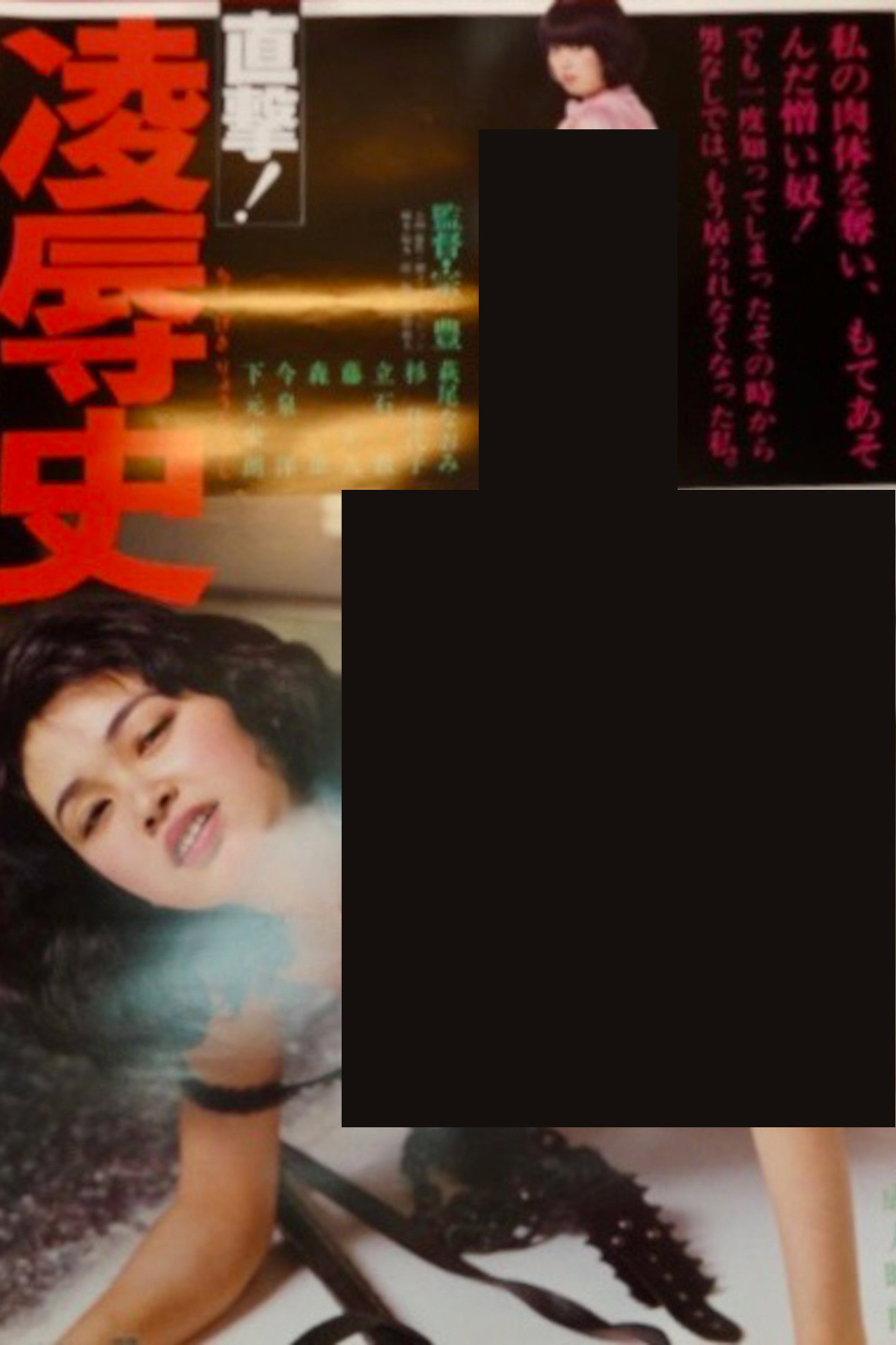 直撃!凌辱史