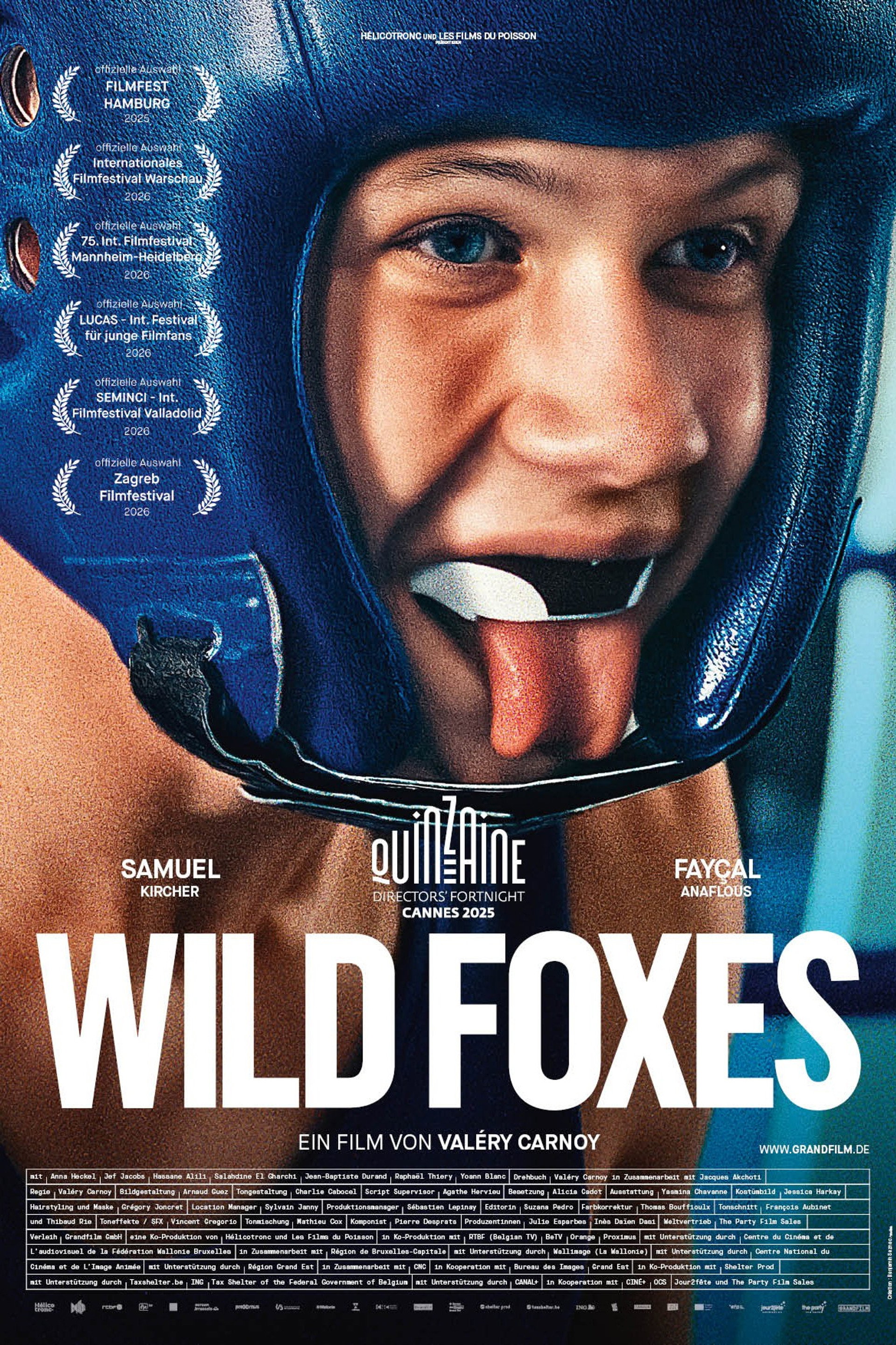 Wild Foxes