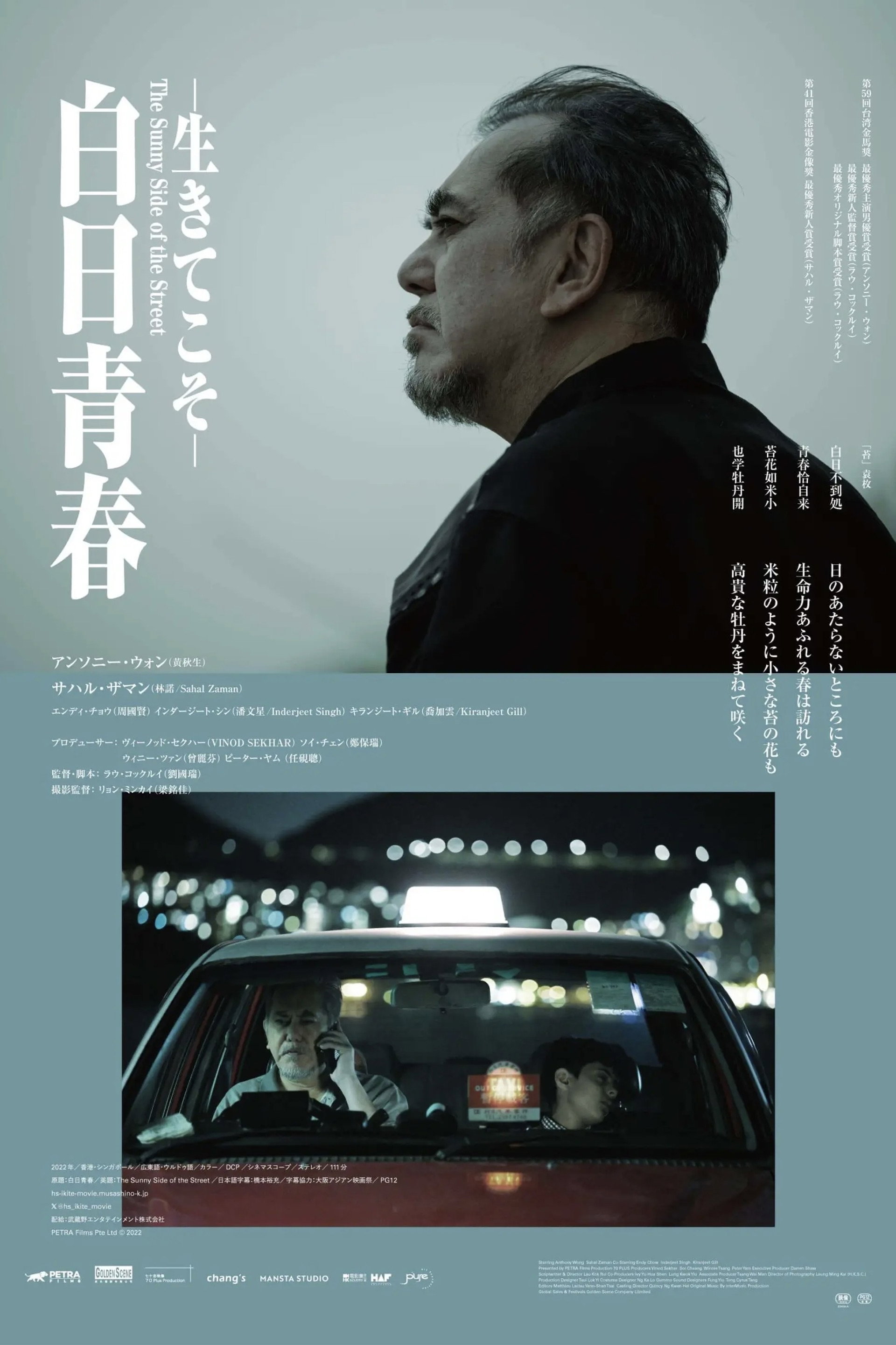 白日青春