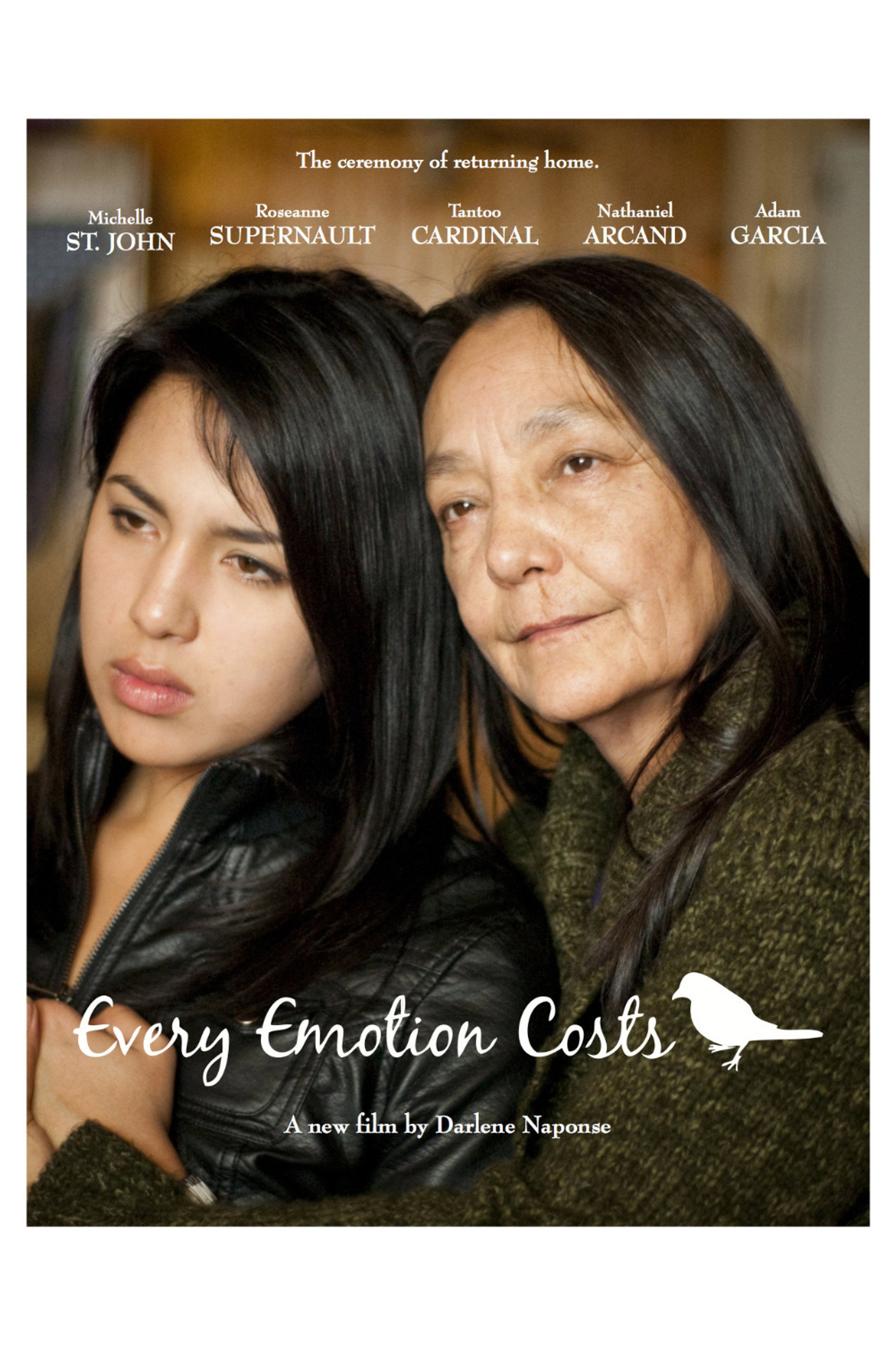 Every Emotion Costs