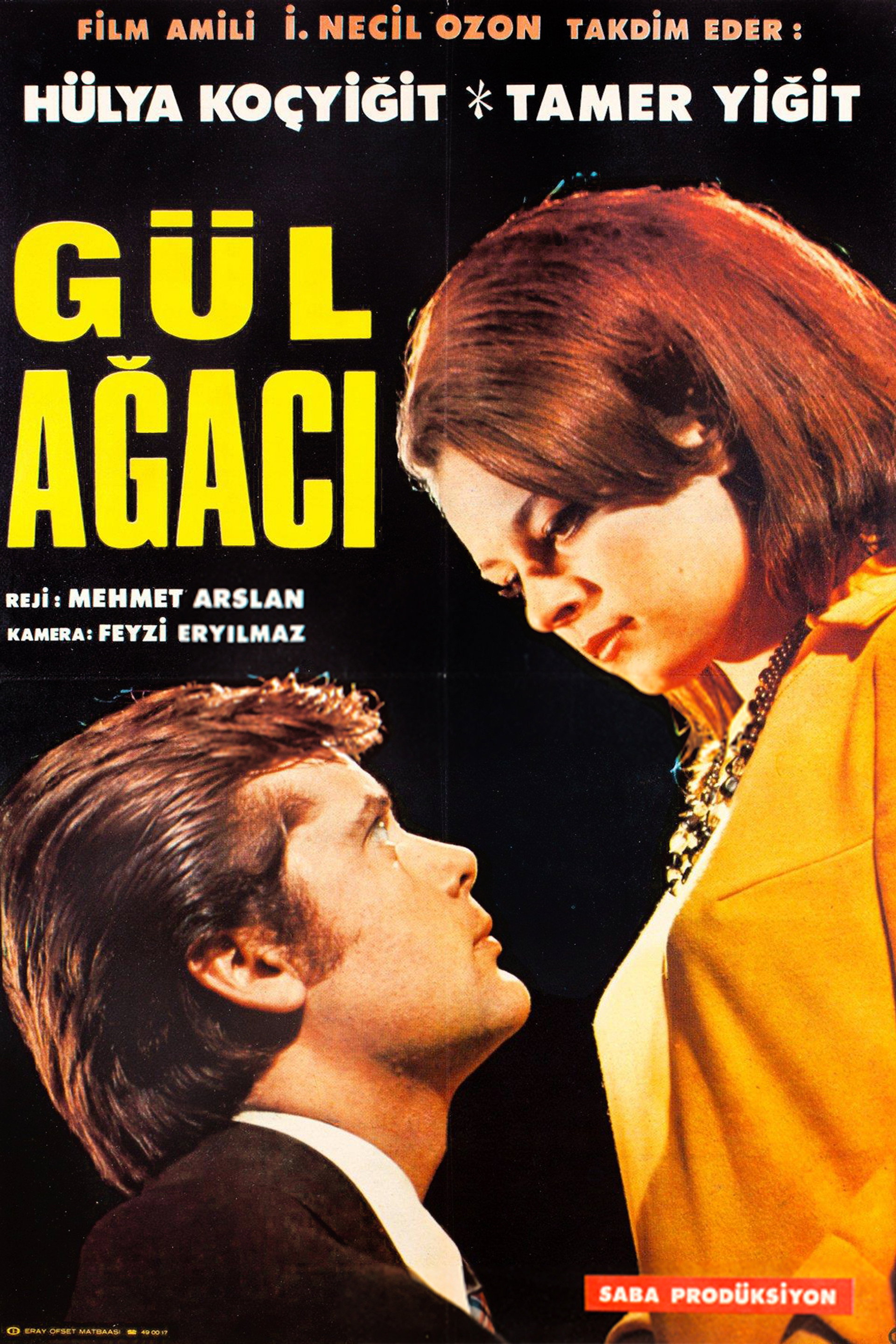 Gül Ağacı