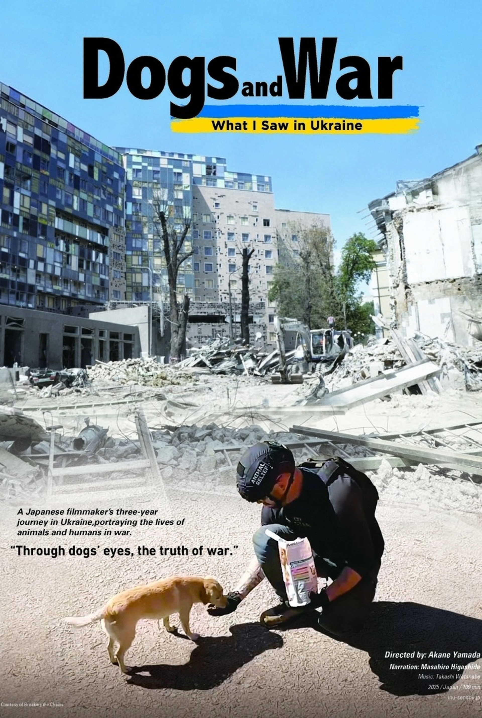 Dogs and War: What I saw in Ukraine