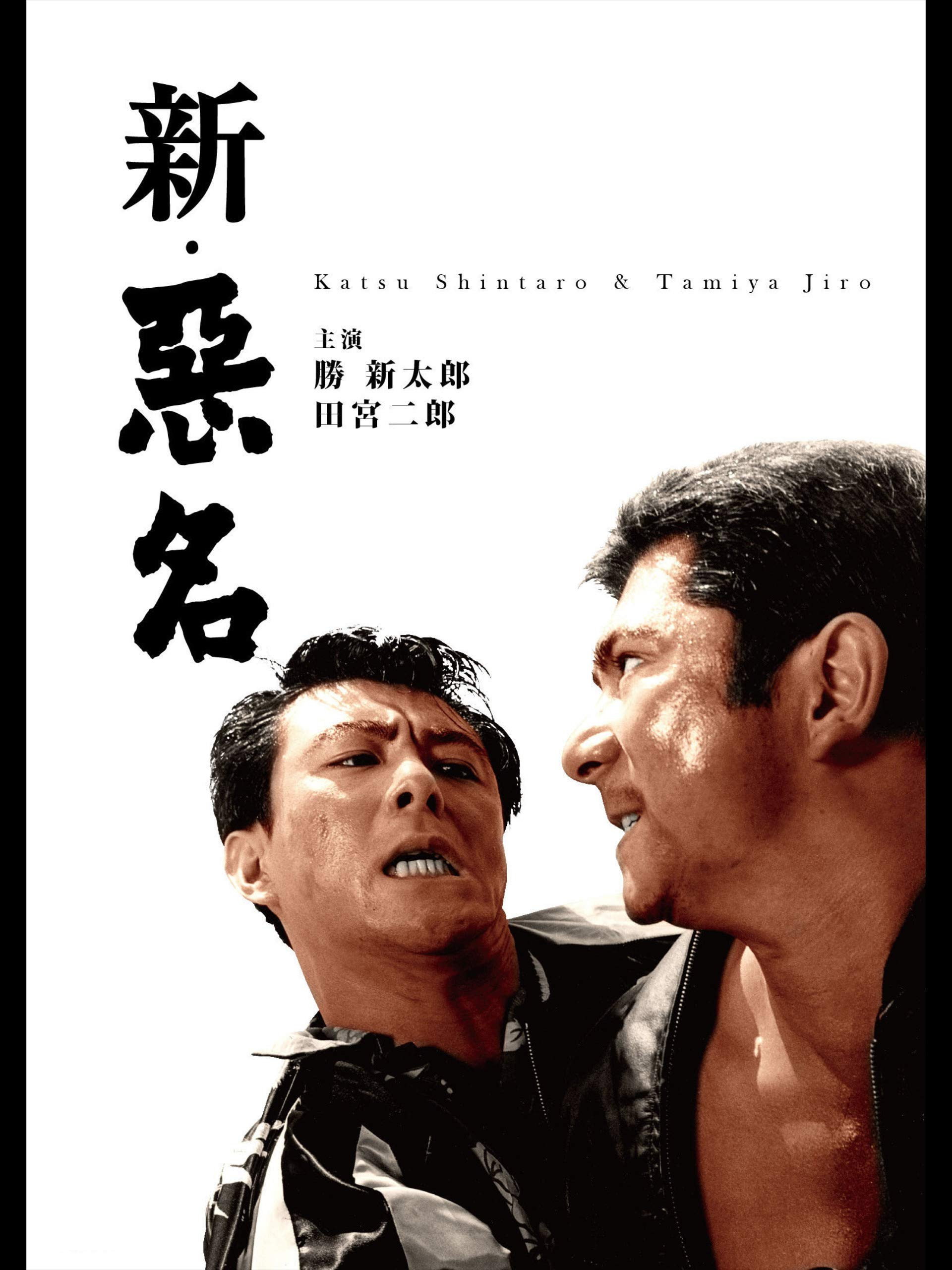 新・悪名