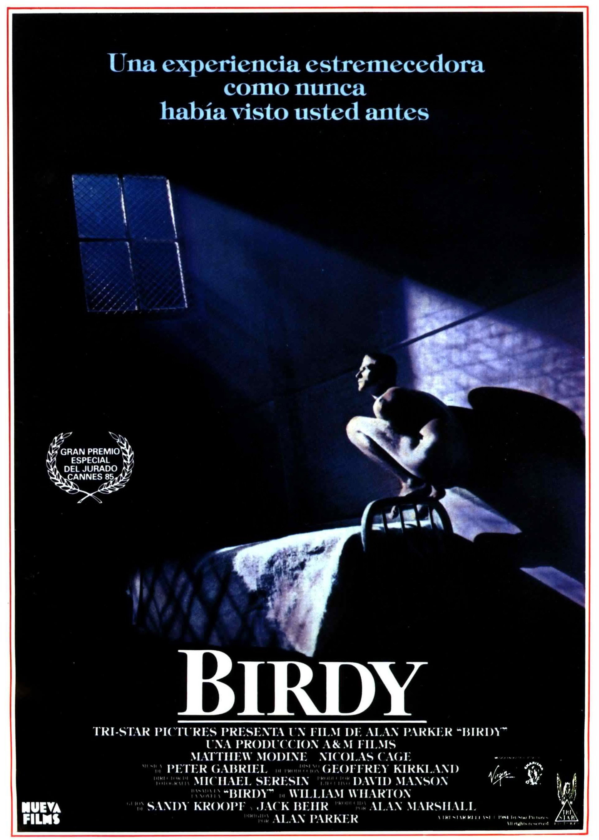 Birdy