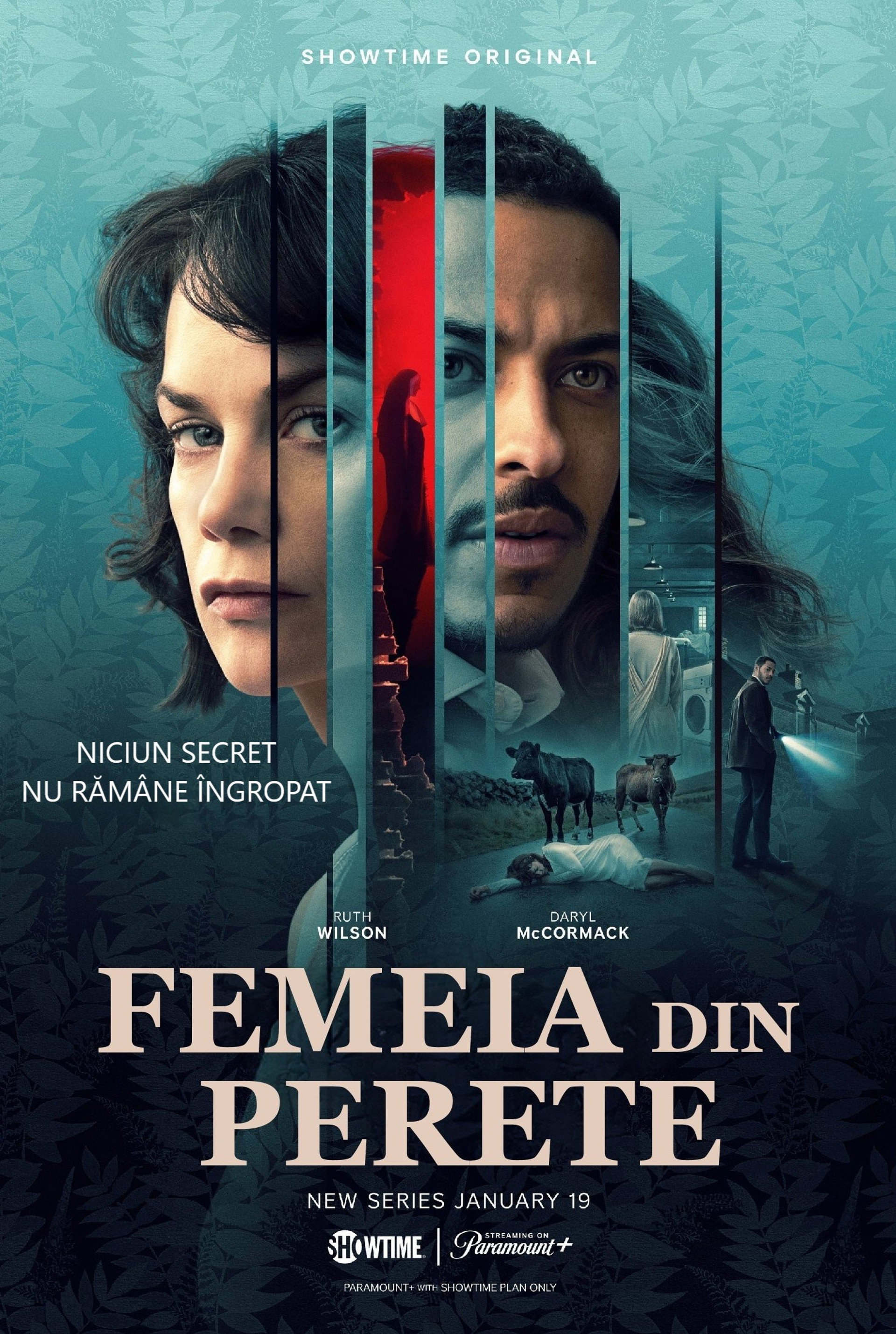 Femeia din perete