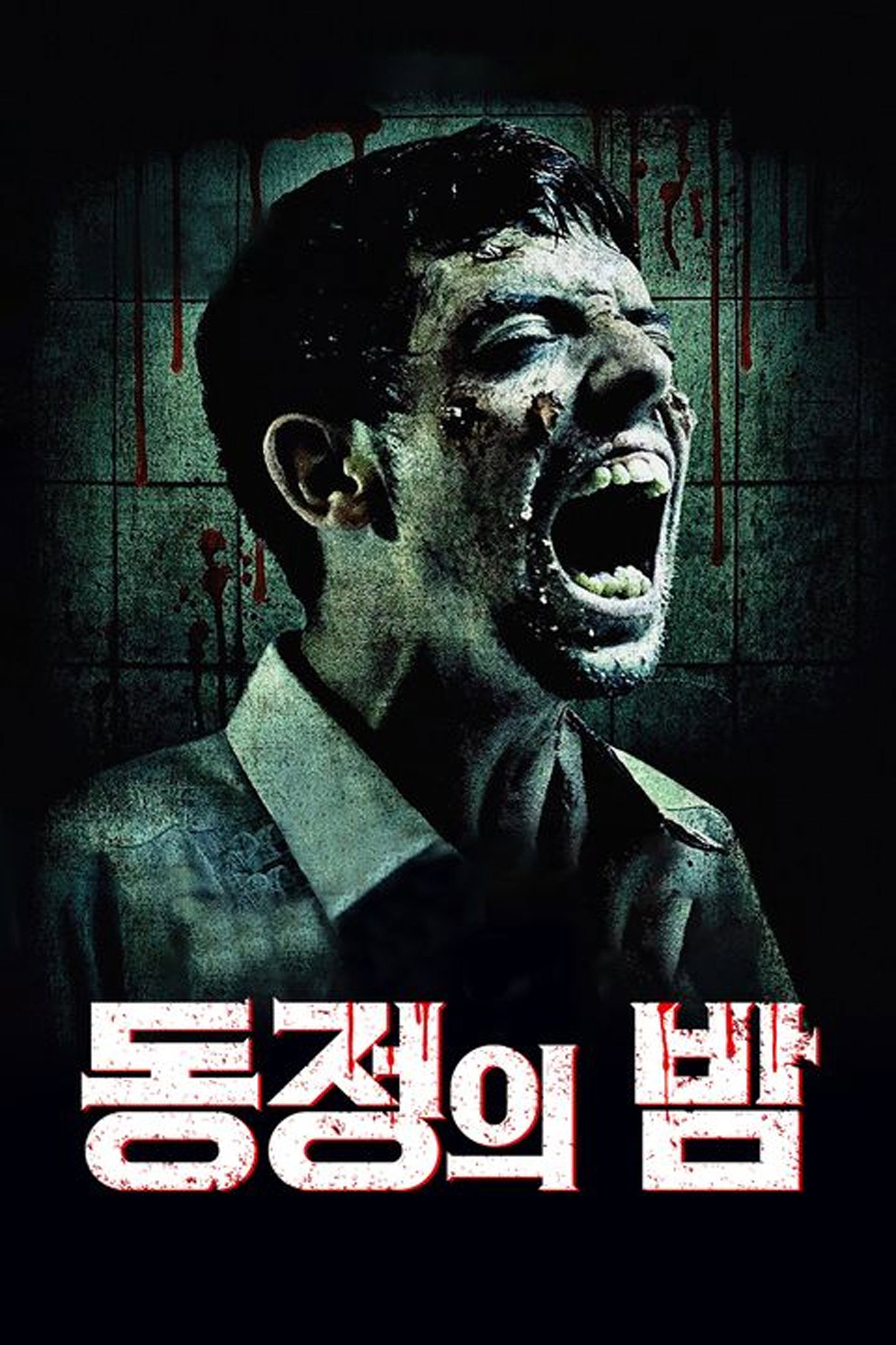 동정의 밤