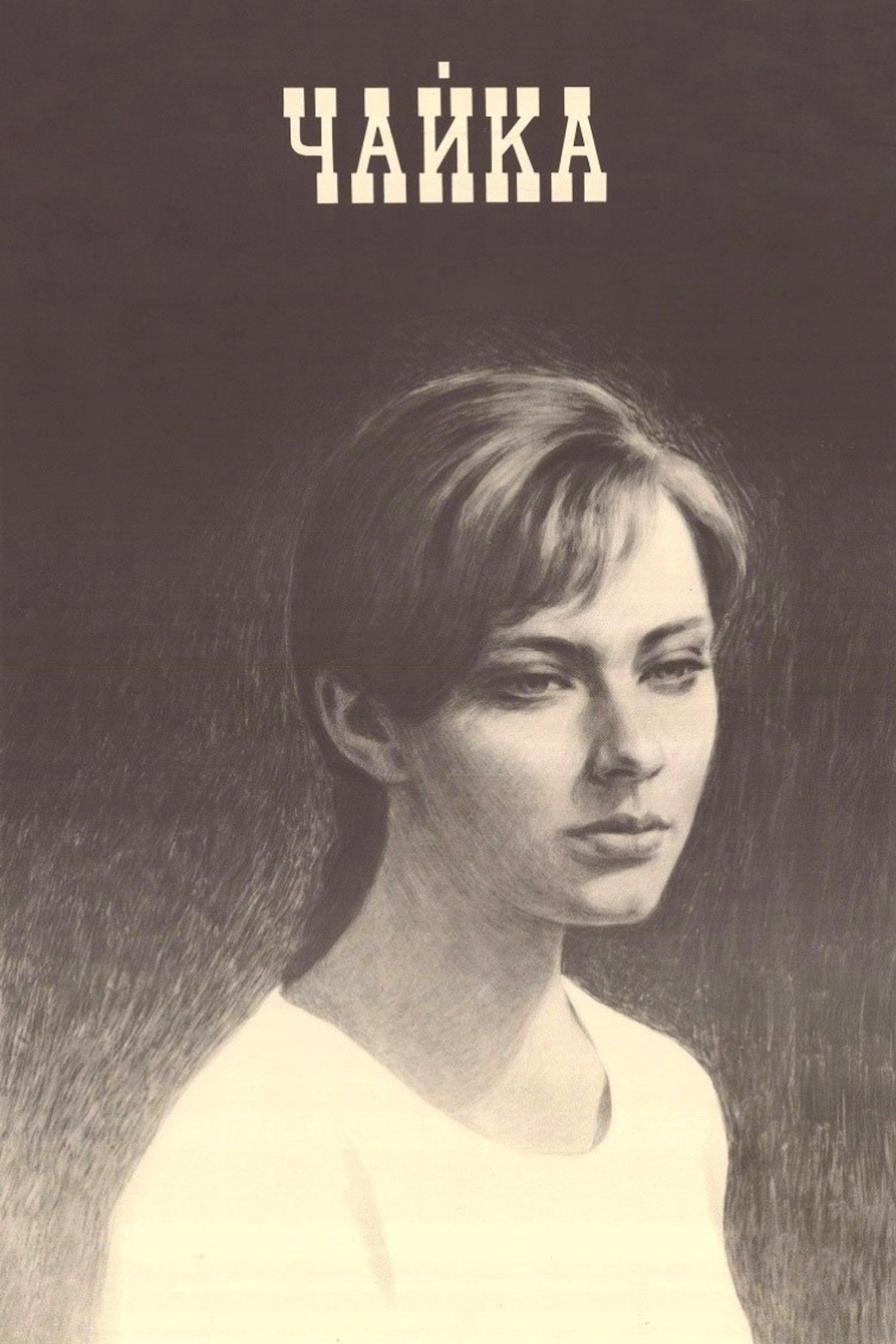 Чайка