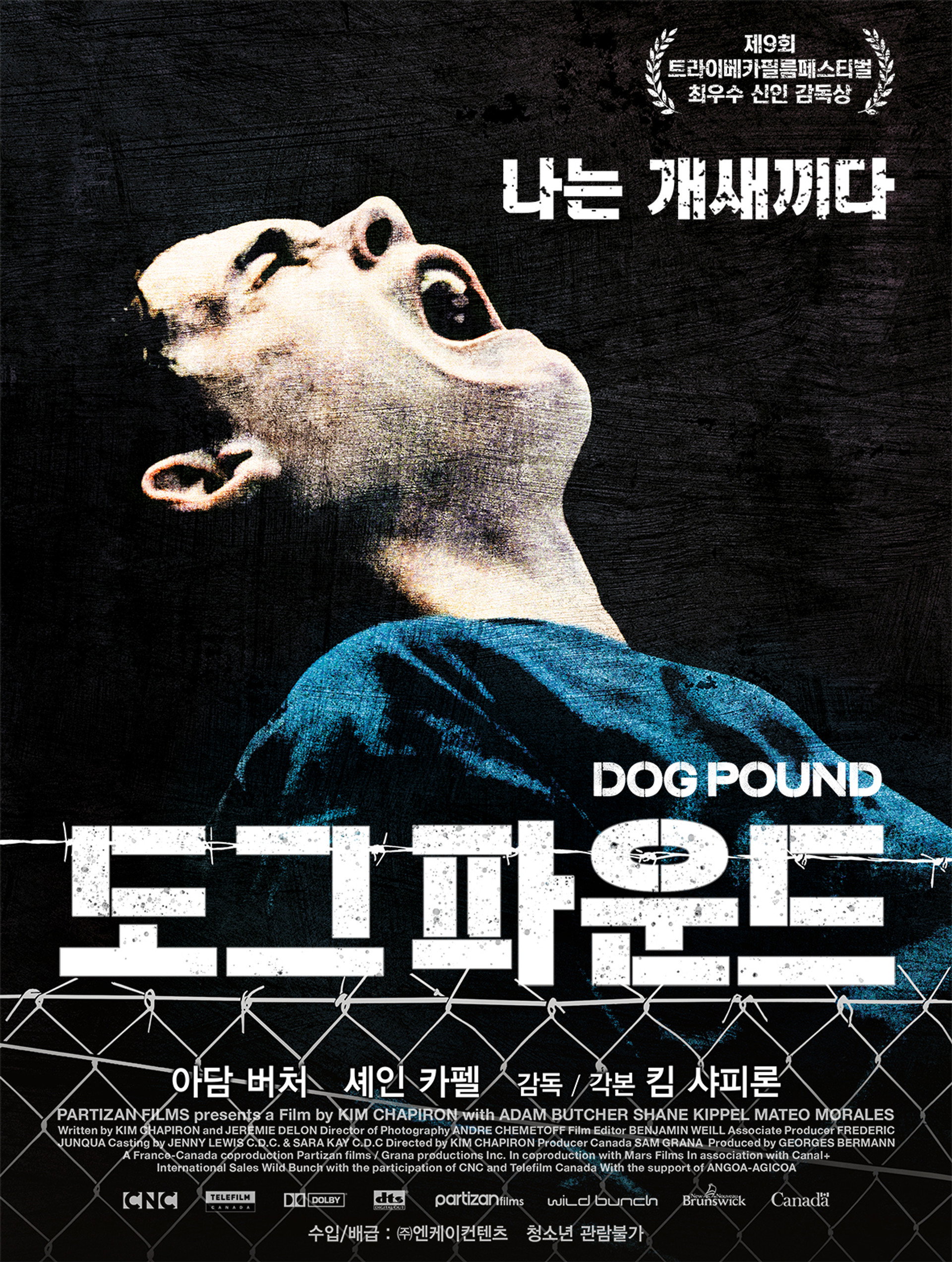 도그 파운드