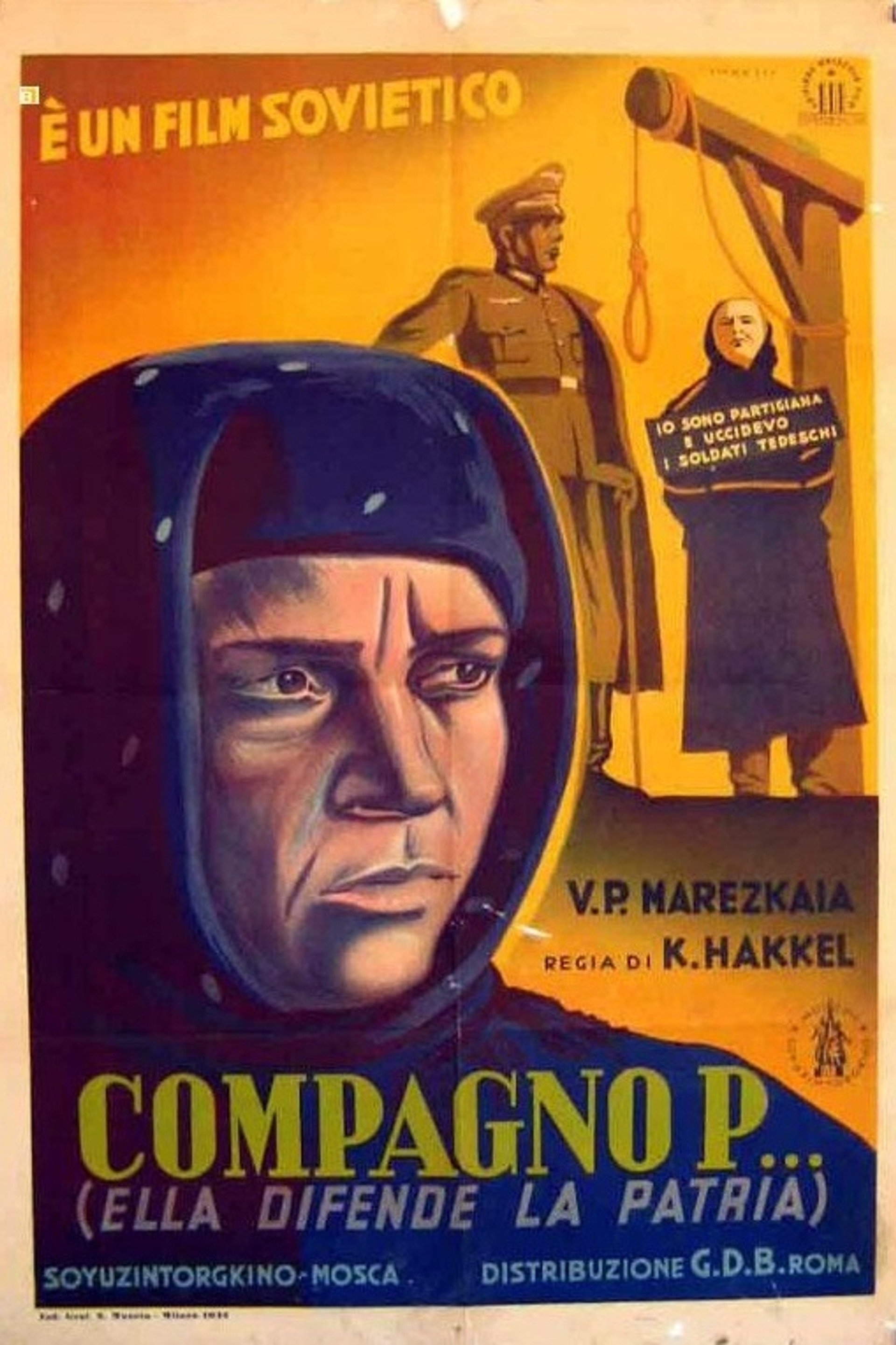 Il compagno P