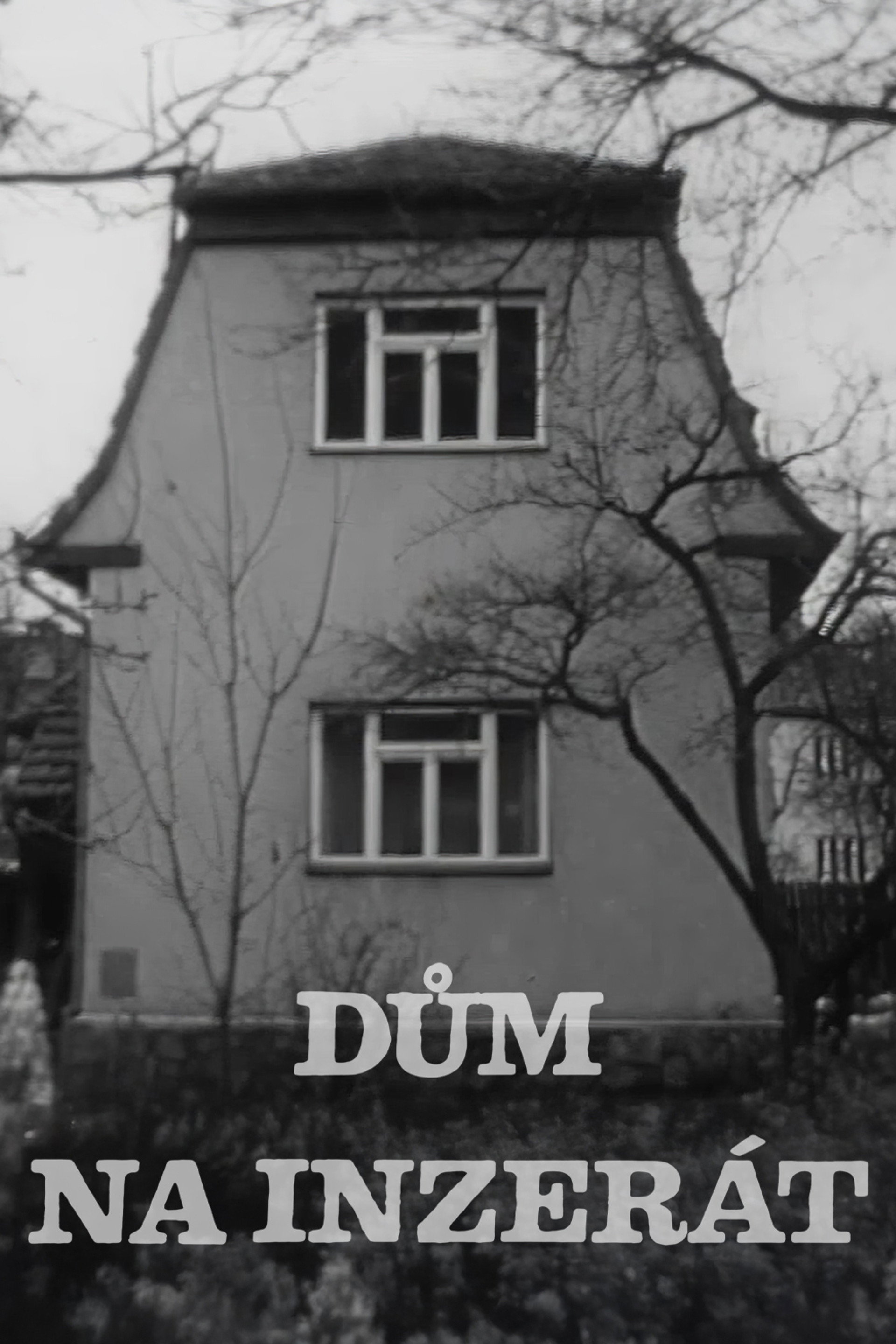 Dům na inzerát