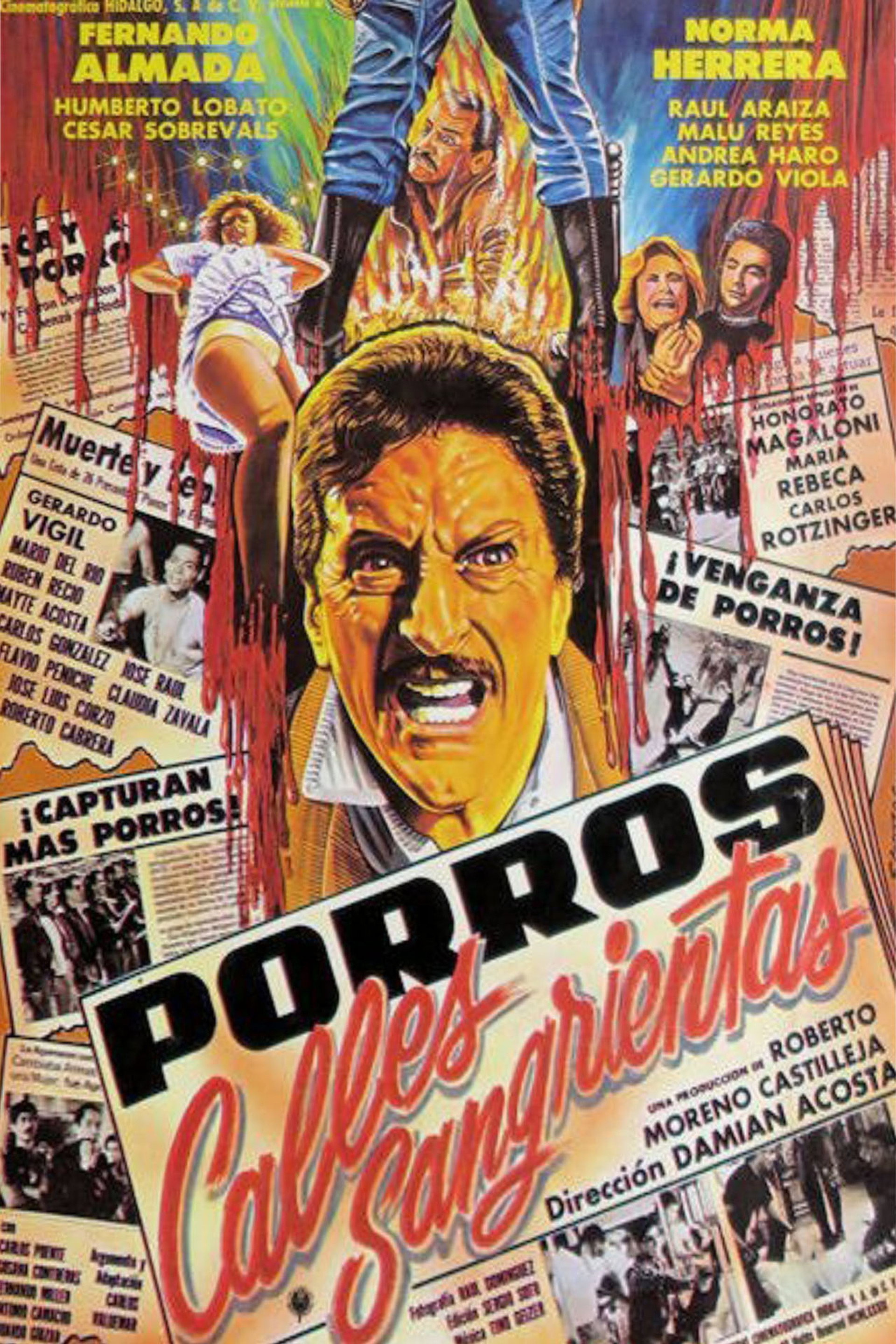 Porros: Calles sangrientas