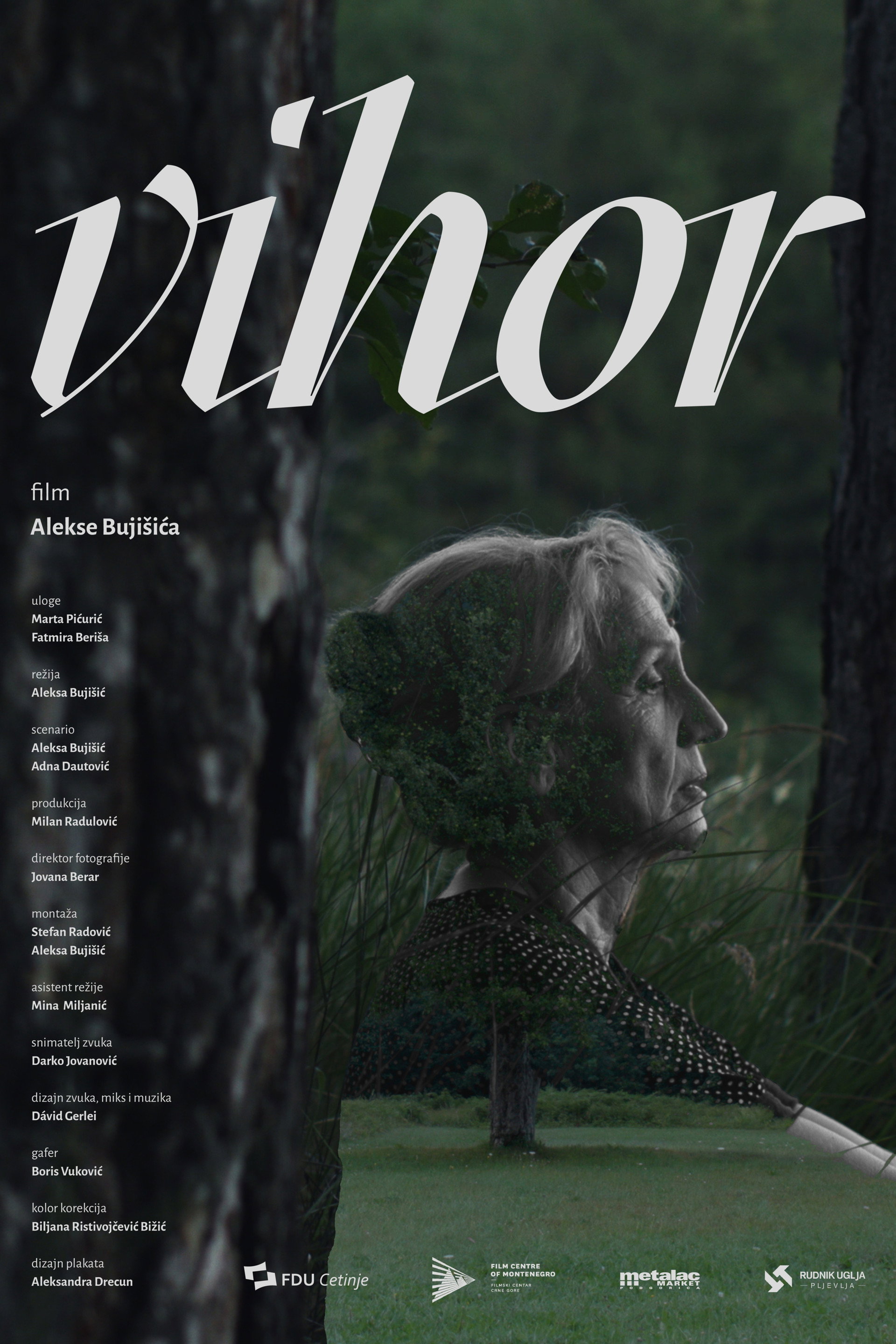 Vihor
