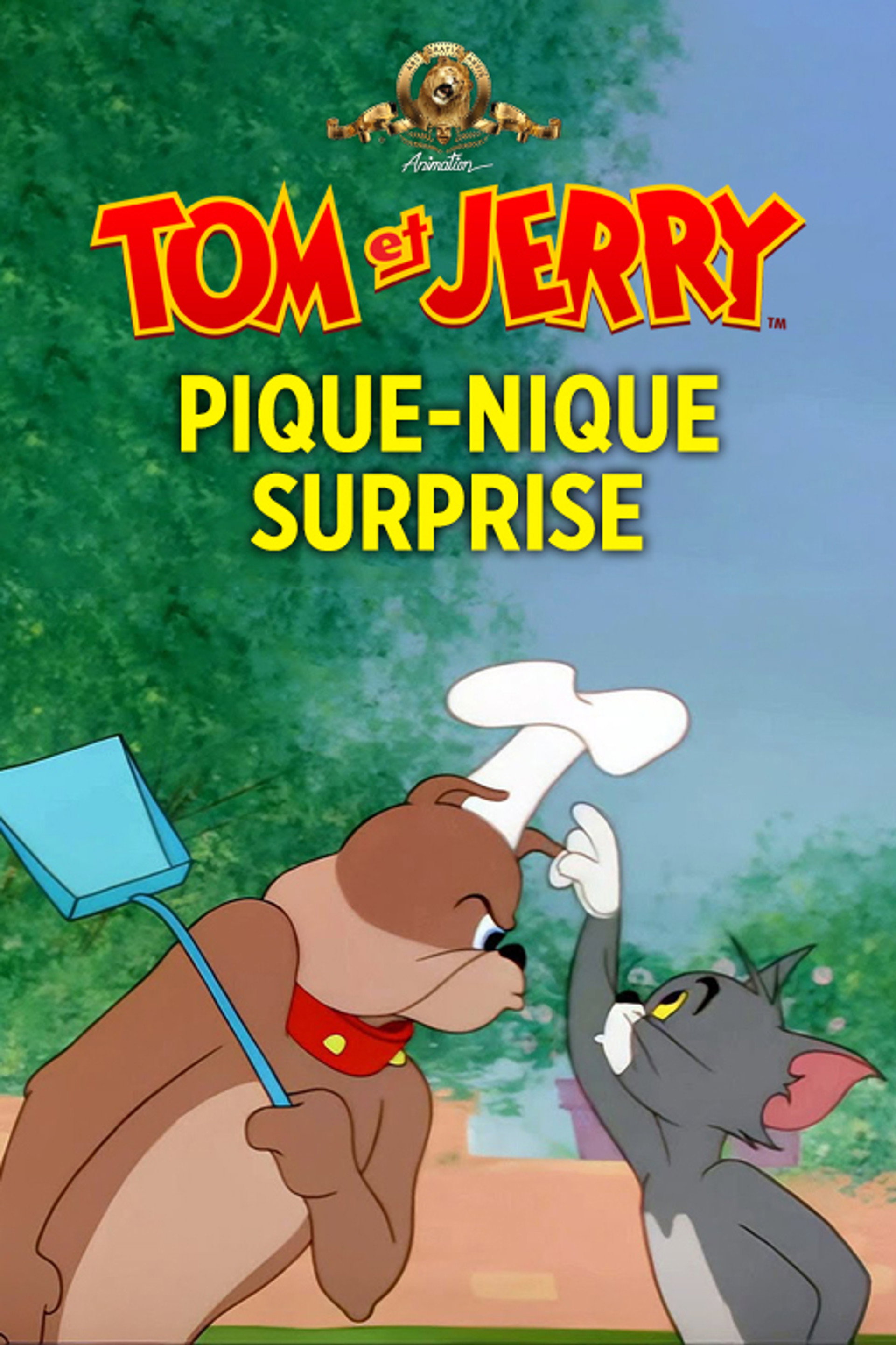 Pique-nique surprise