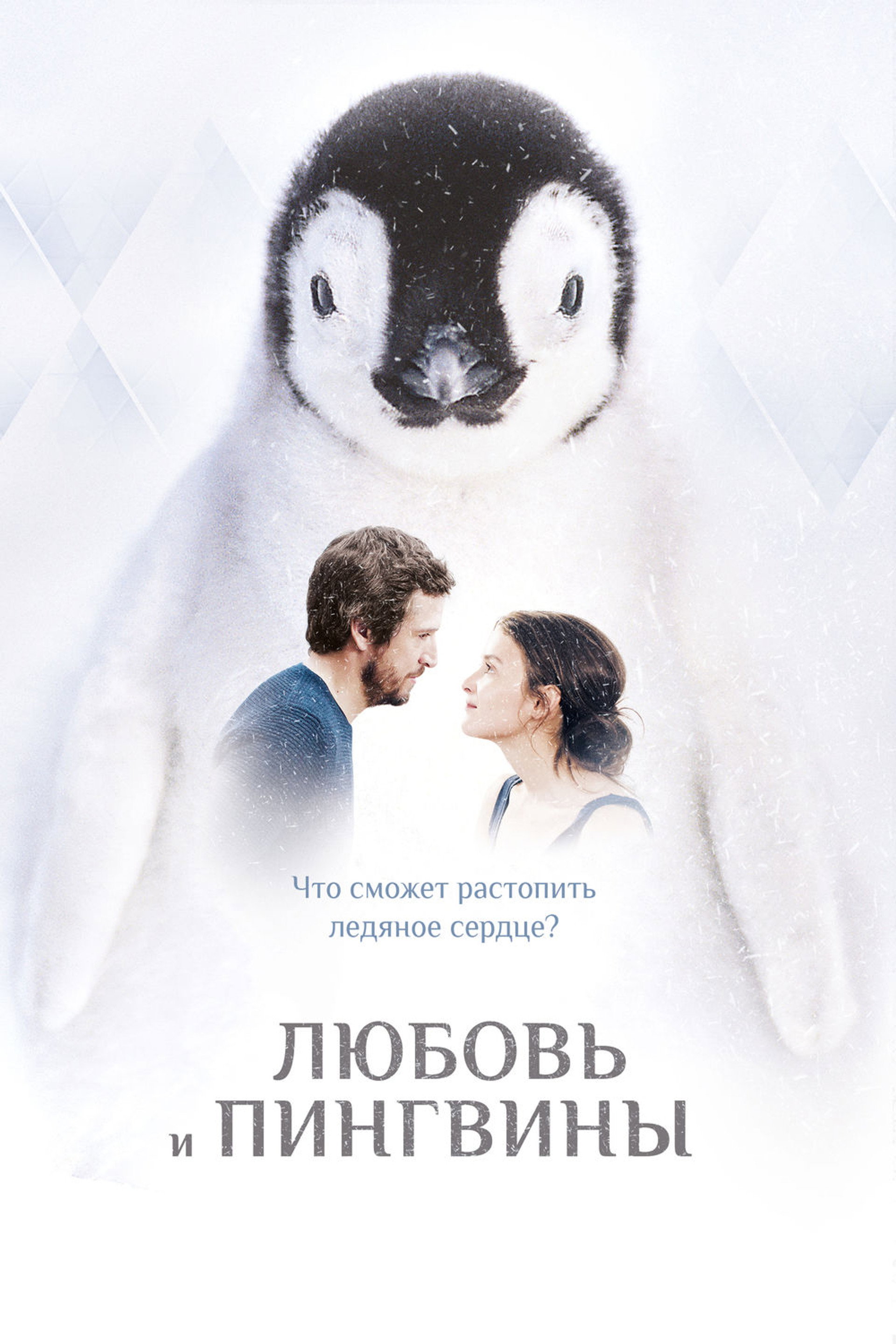 Любовь и пингвины