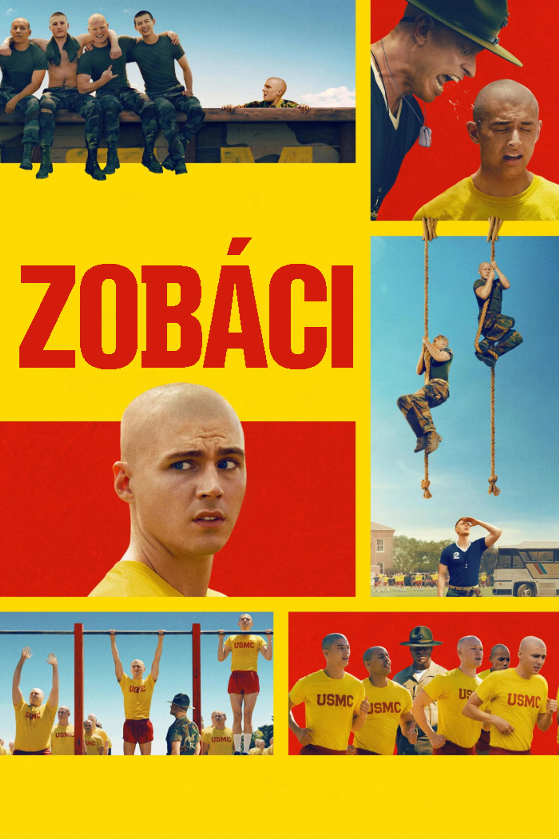 Zobáci