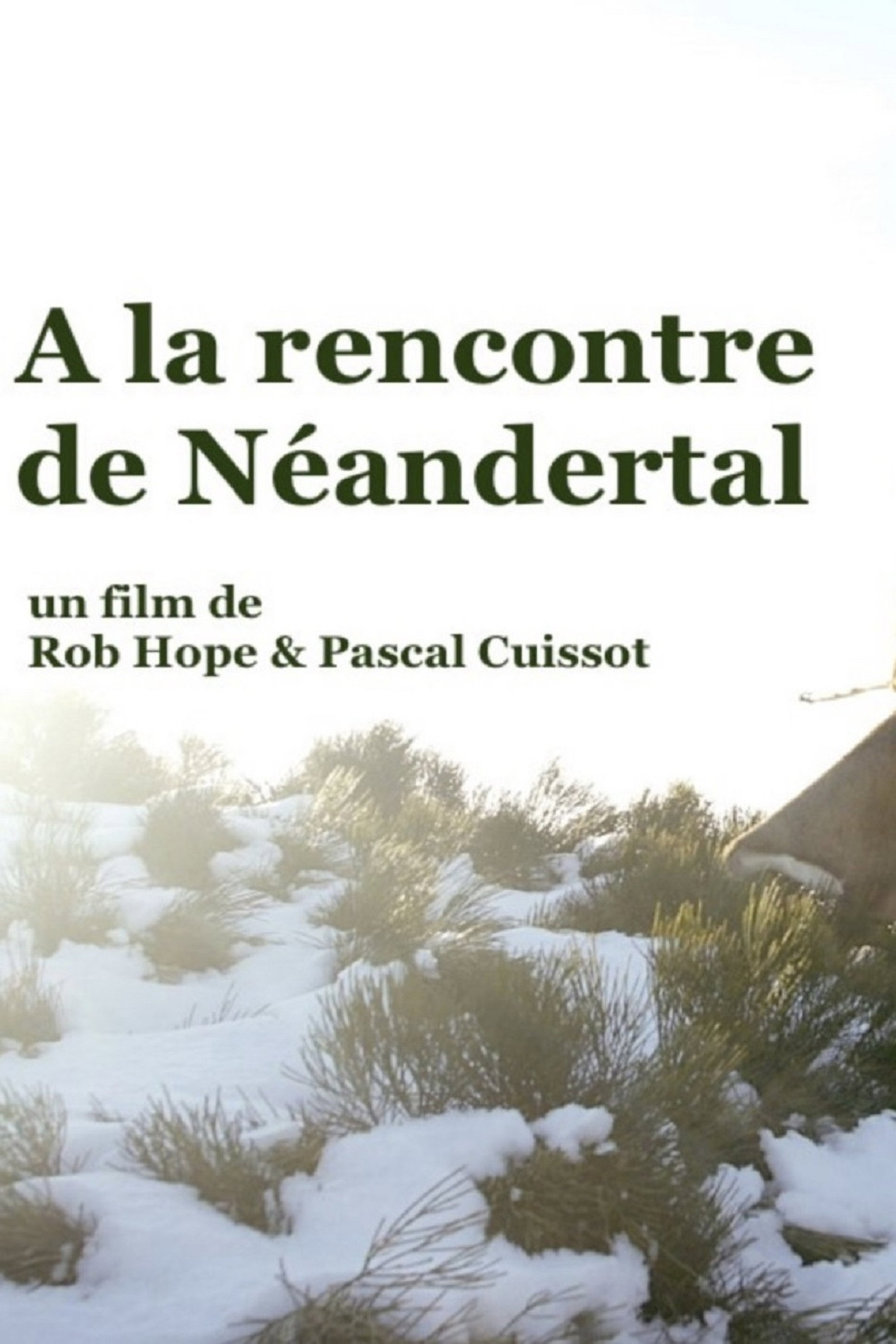 Al encuentro de los neandertales