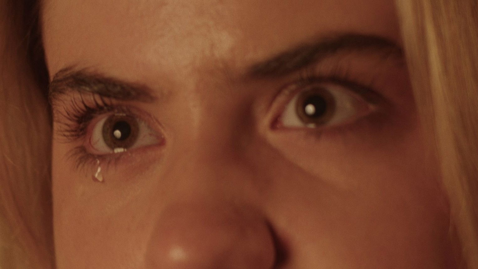 The Pilgrim's Ballad