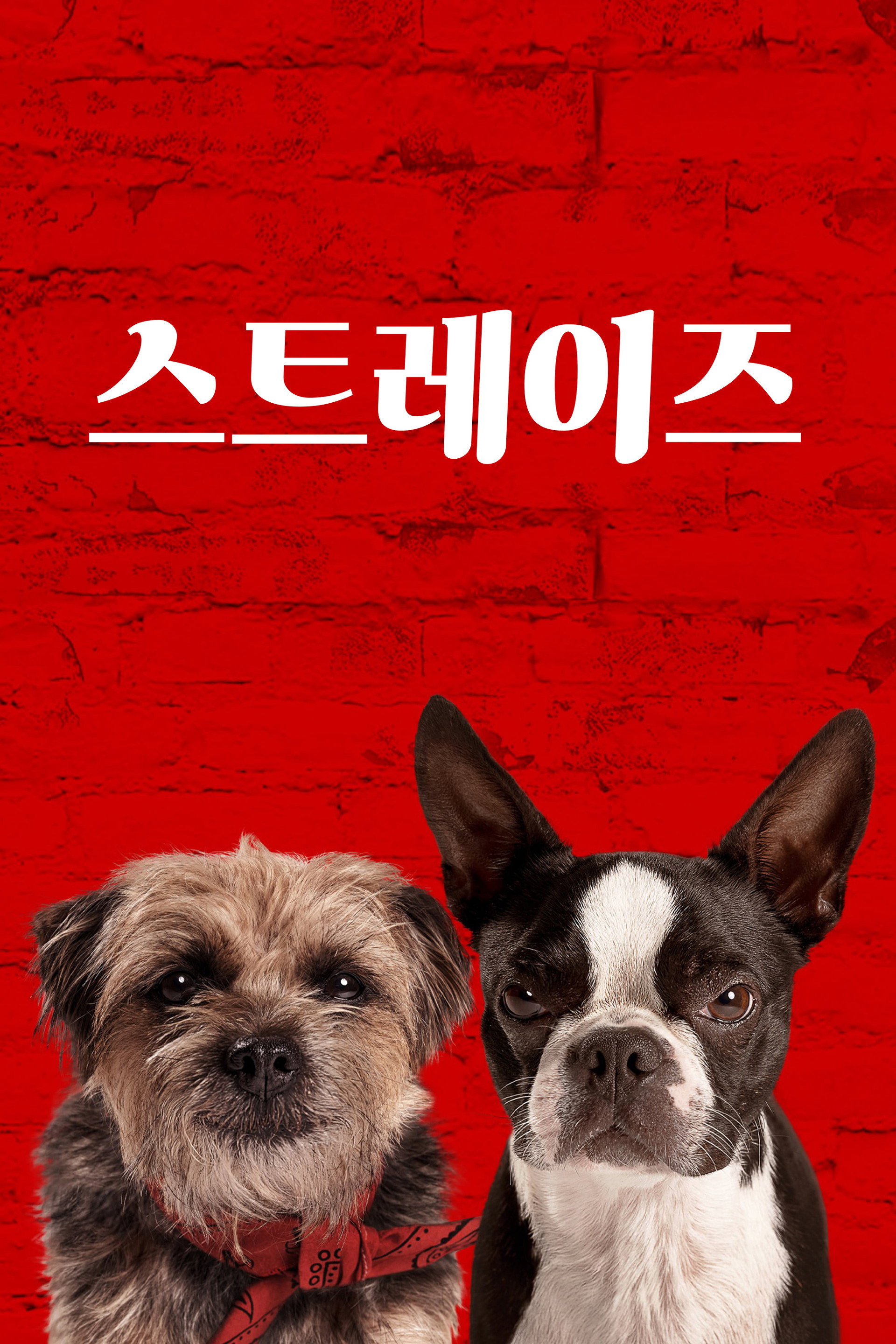 스트레이스