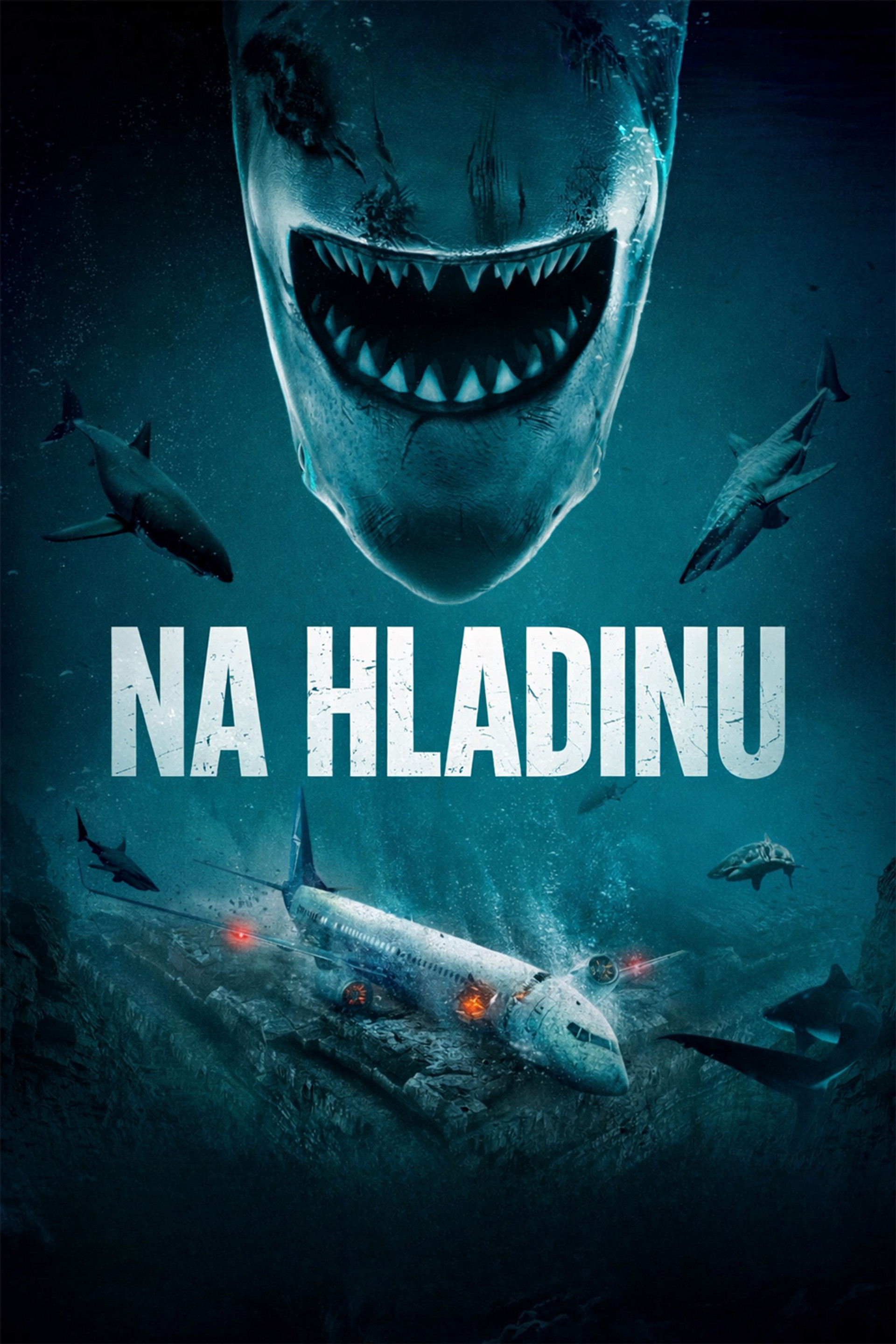 Na hladinu