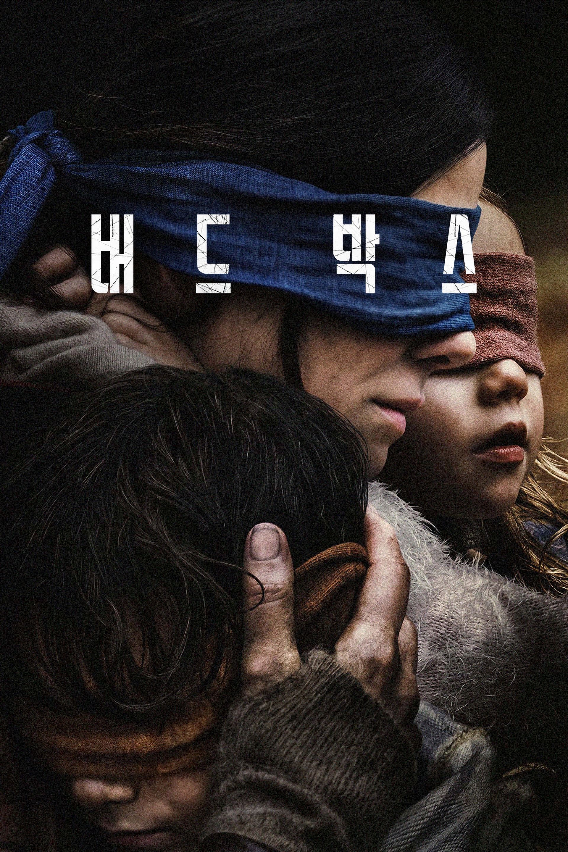 버드 박스