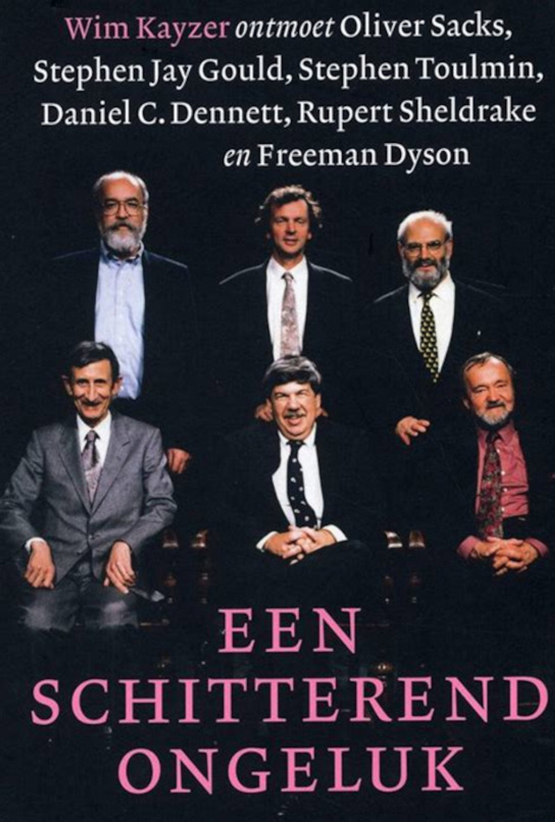 Een schitterend ongeluk