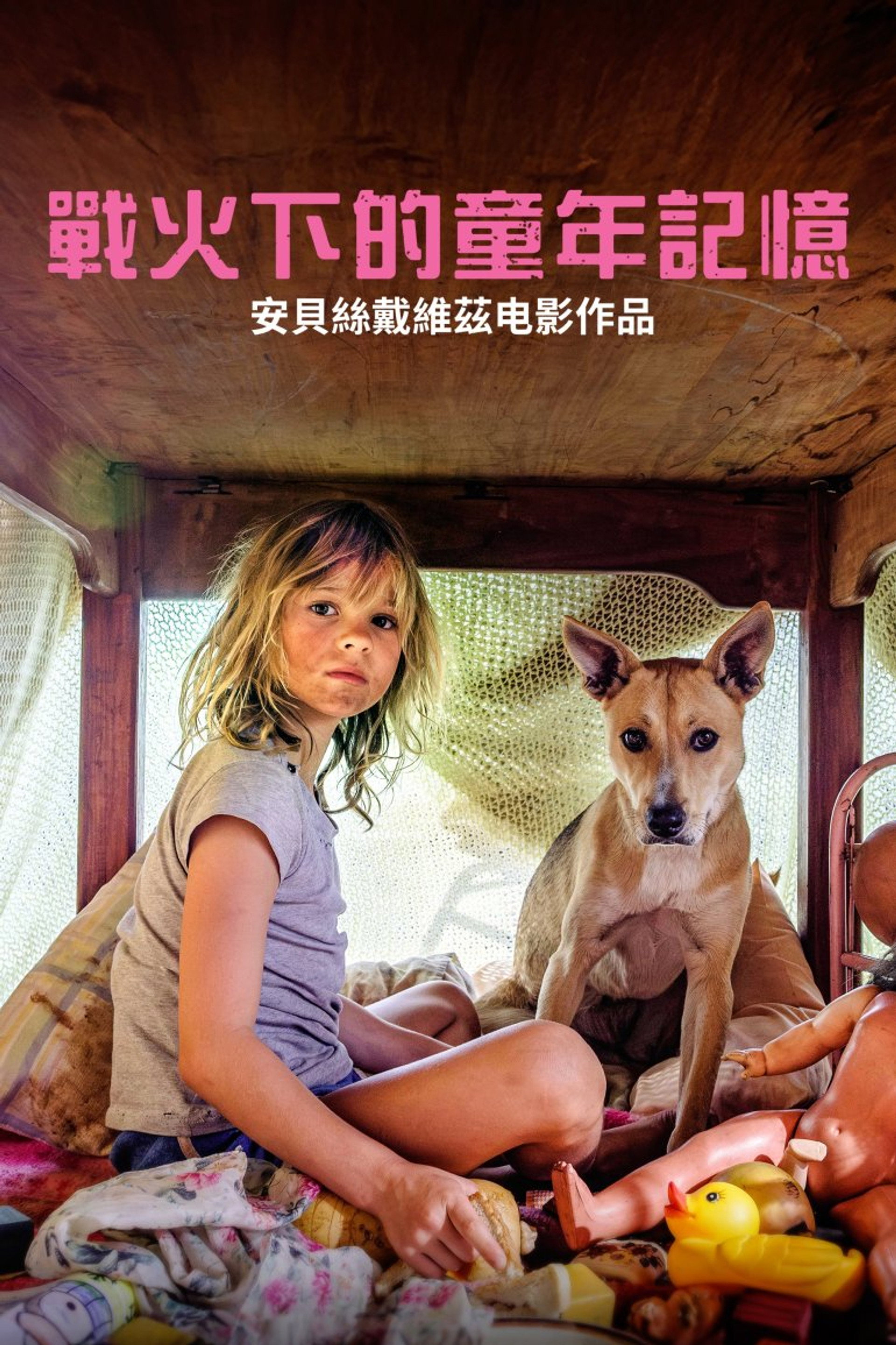 今晚不要让我们去打狗