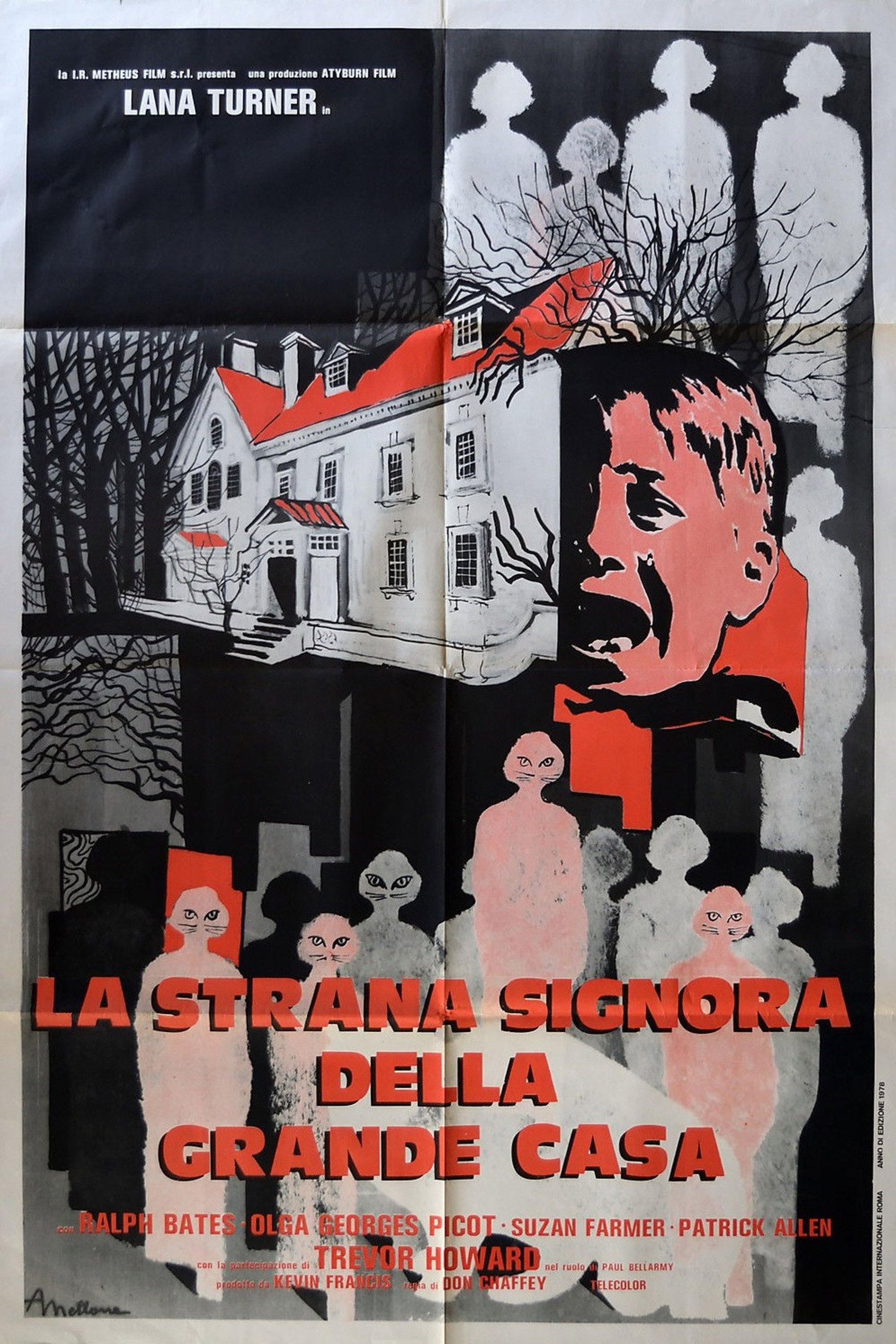 La strana signora della grande casa